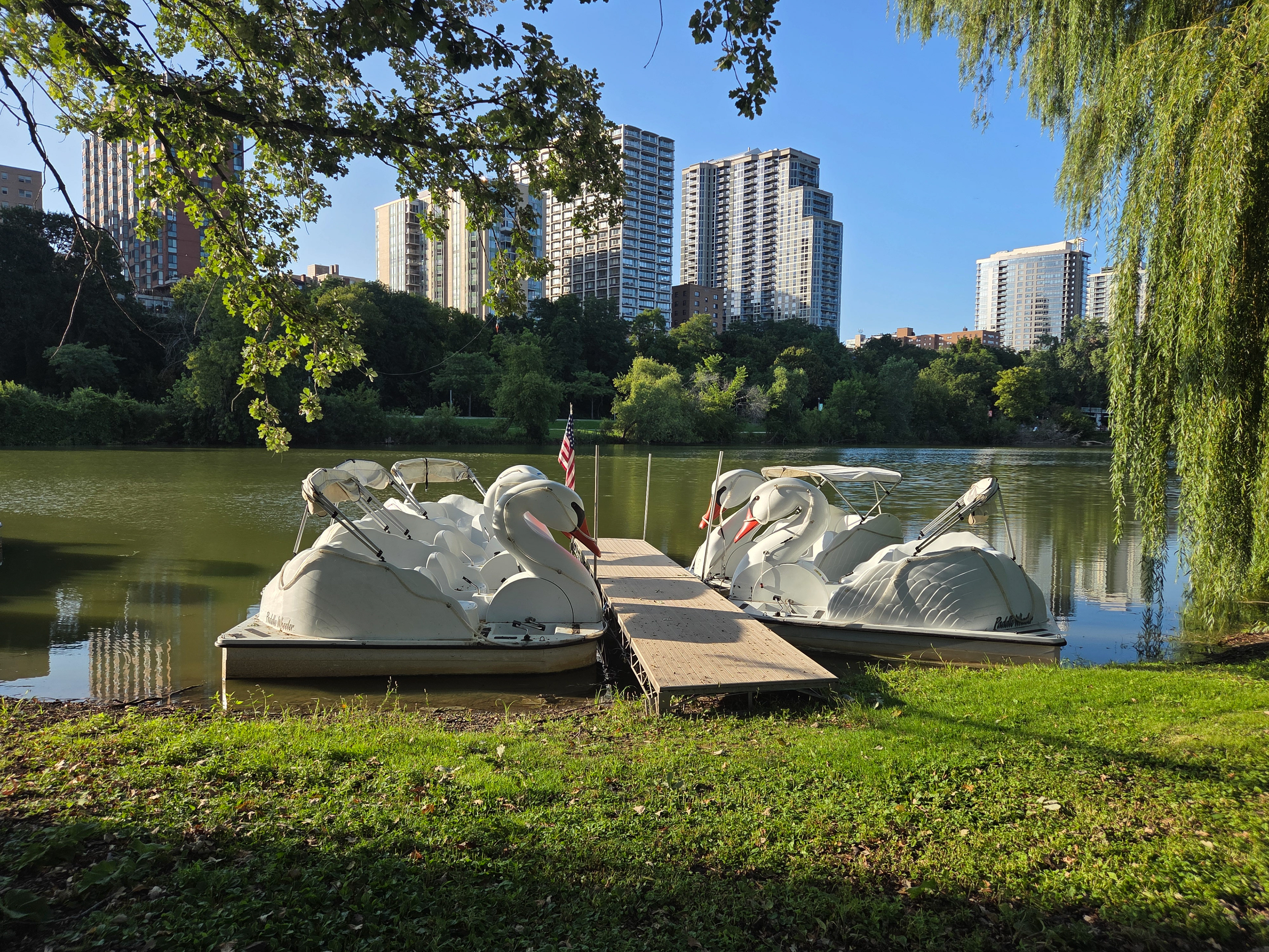A photo I took of the Swan boats at Milwaukee's Veterans Park while on a walk