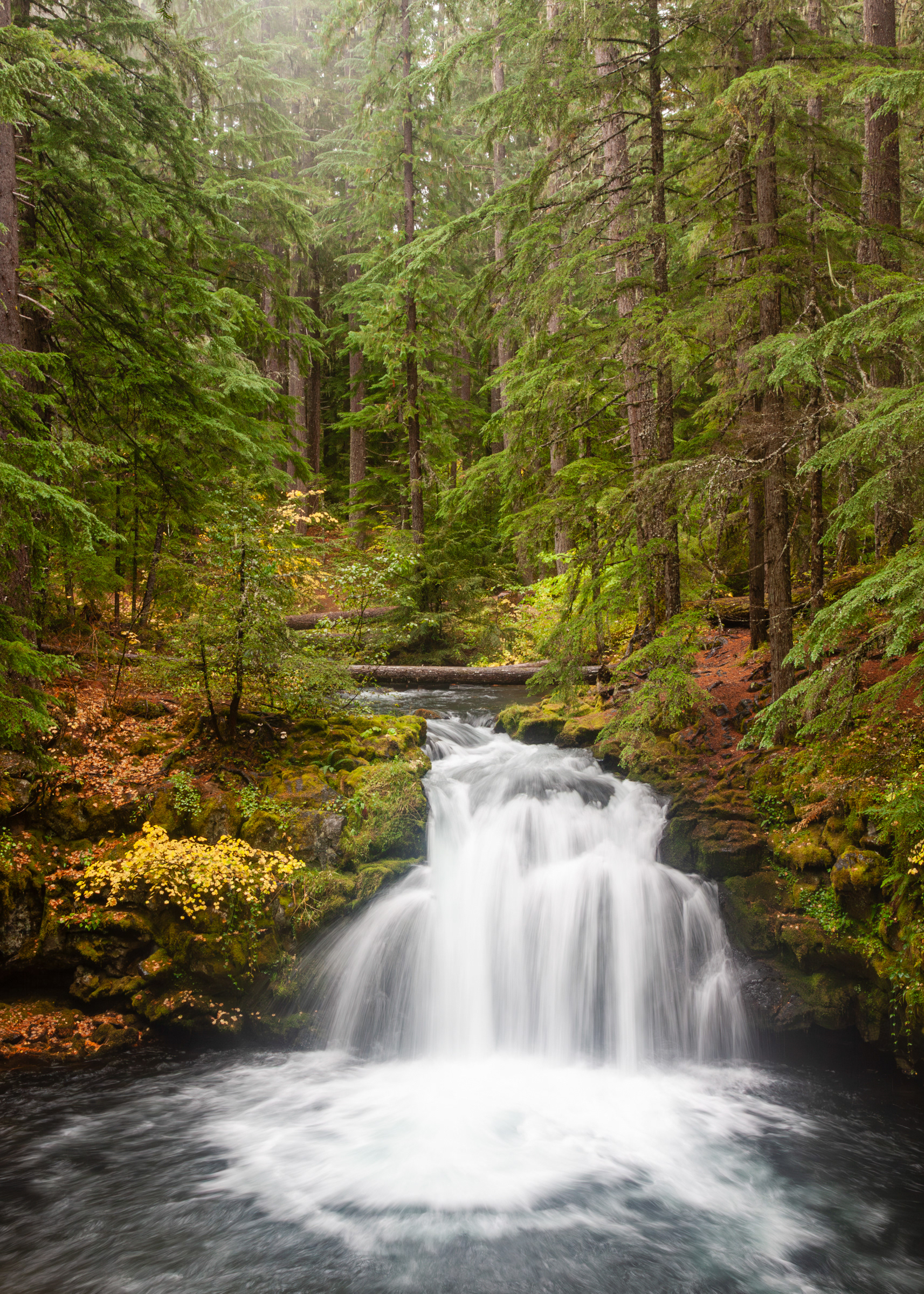 Clearwater Falls, Oregon