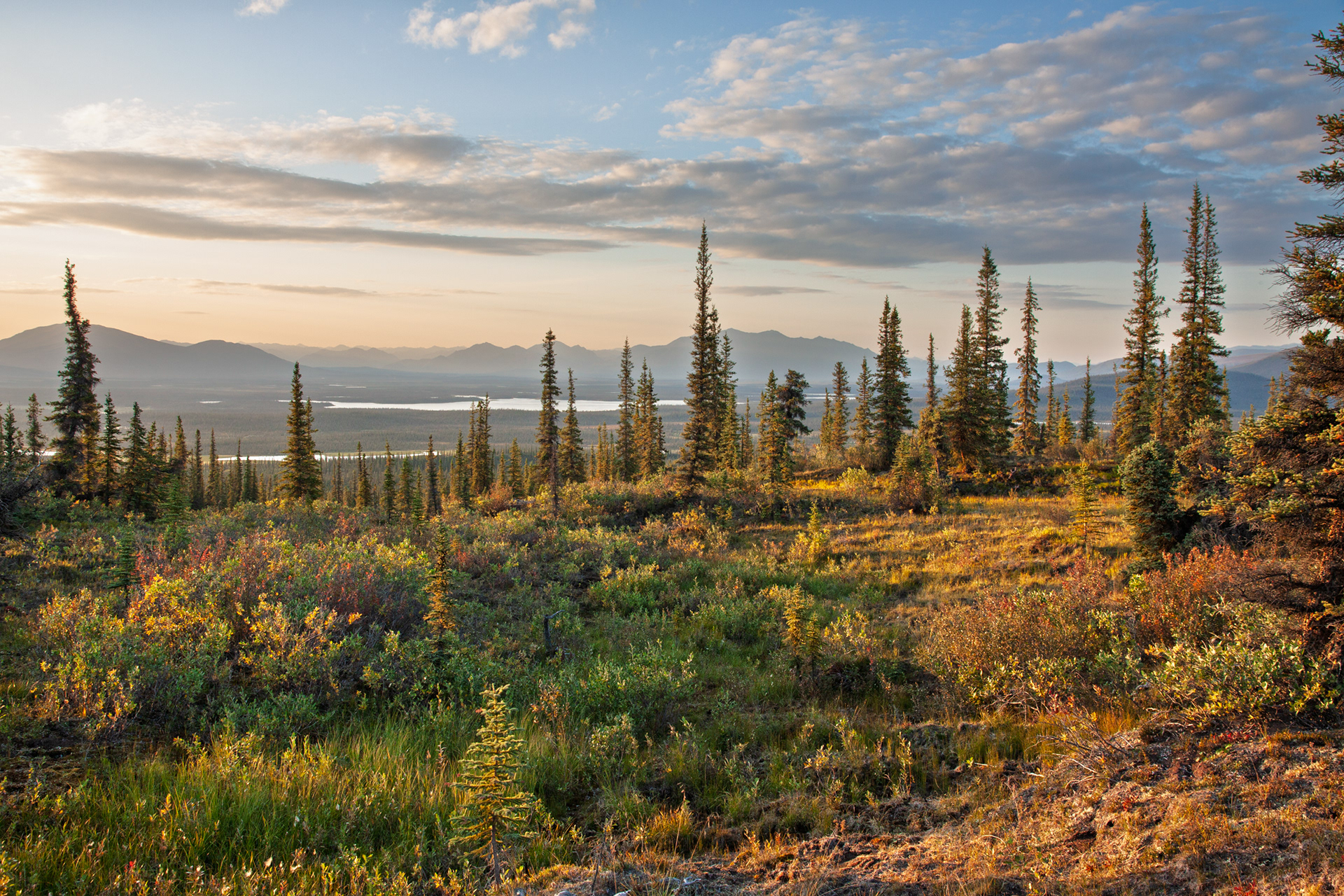 View from Base Camp, Arctic National Wildlife Refuge, Alaska