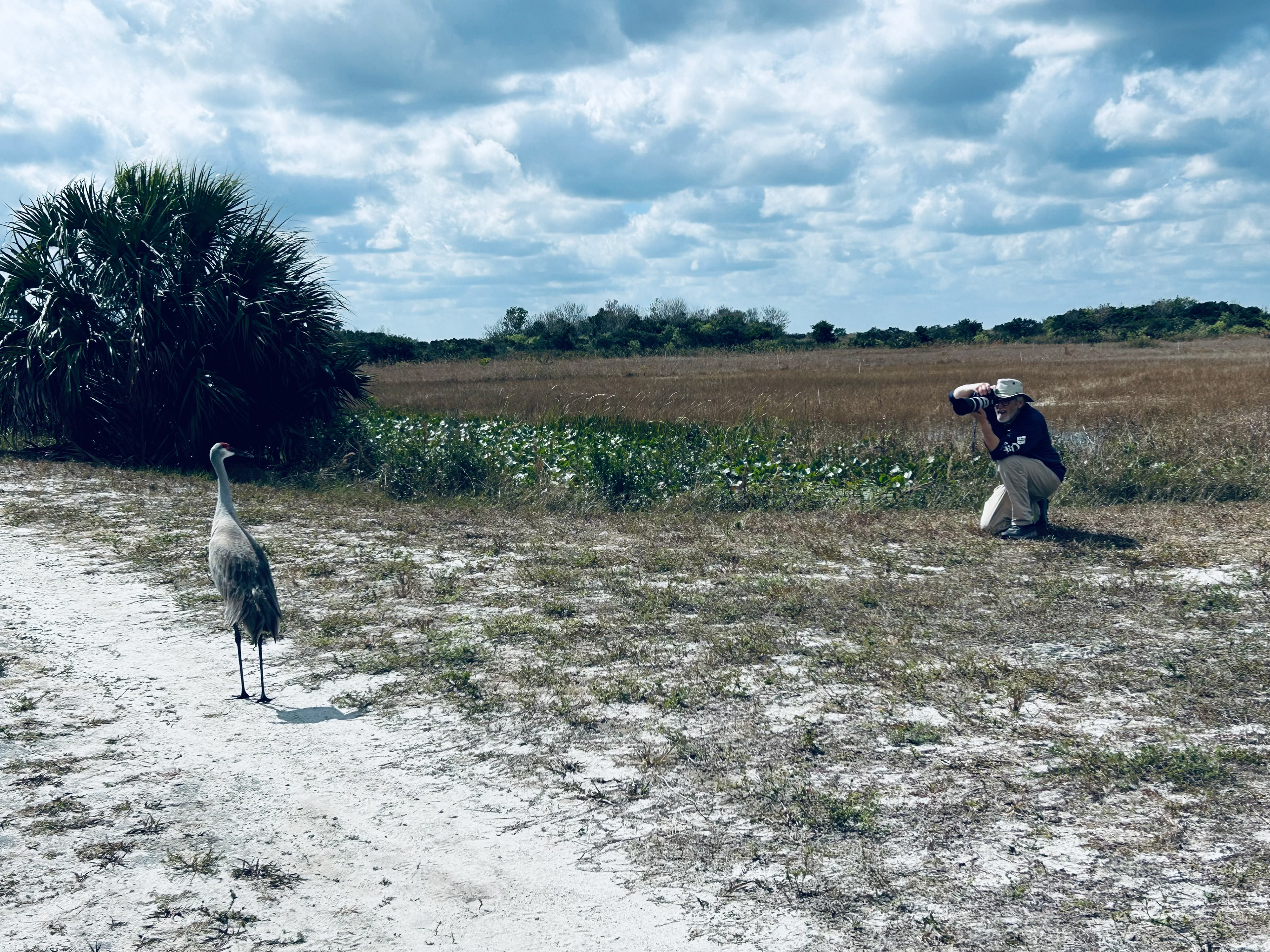 Photographing