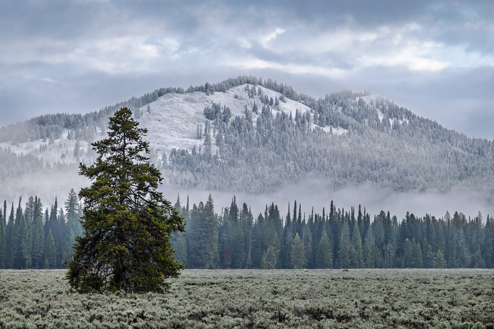 Grand Teton National Park, Wyoming