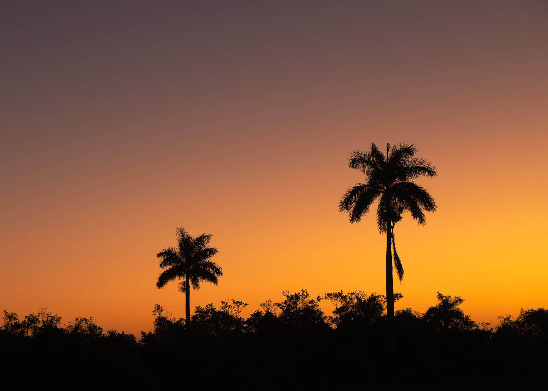Sunrise, Everglades National Park, Florida