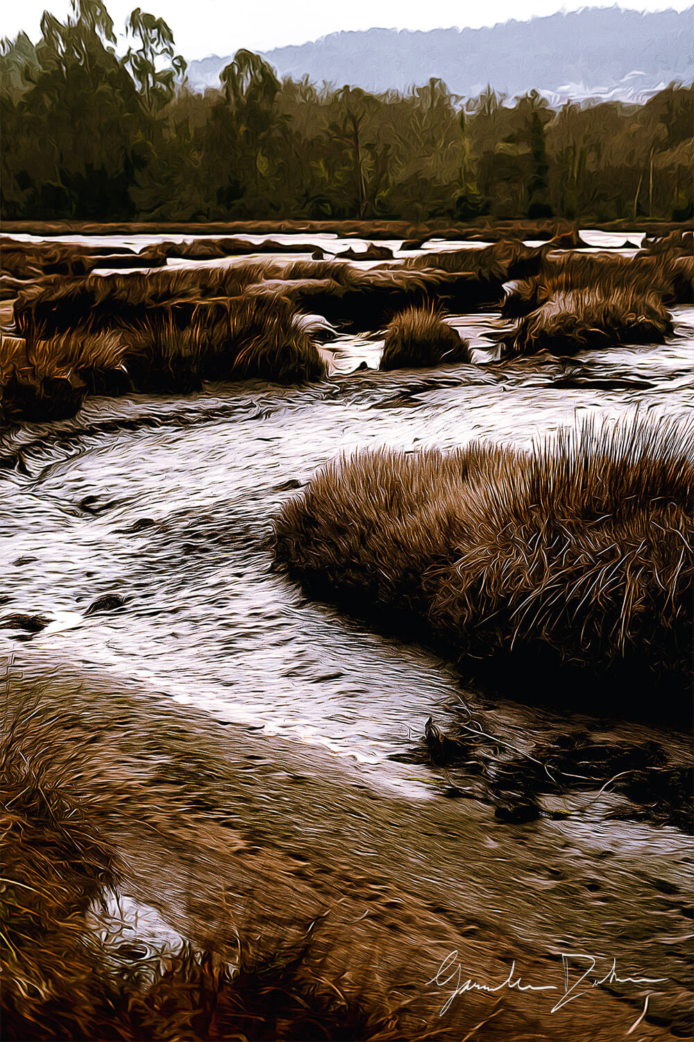 Wetlands (Parina)