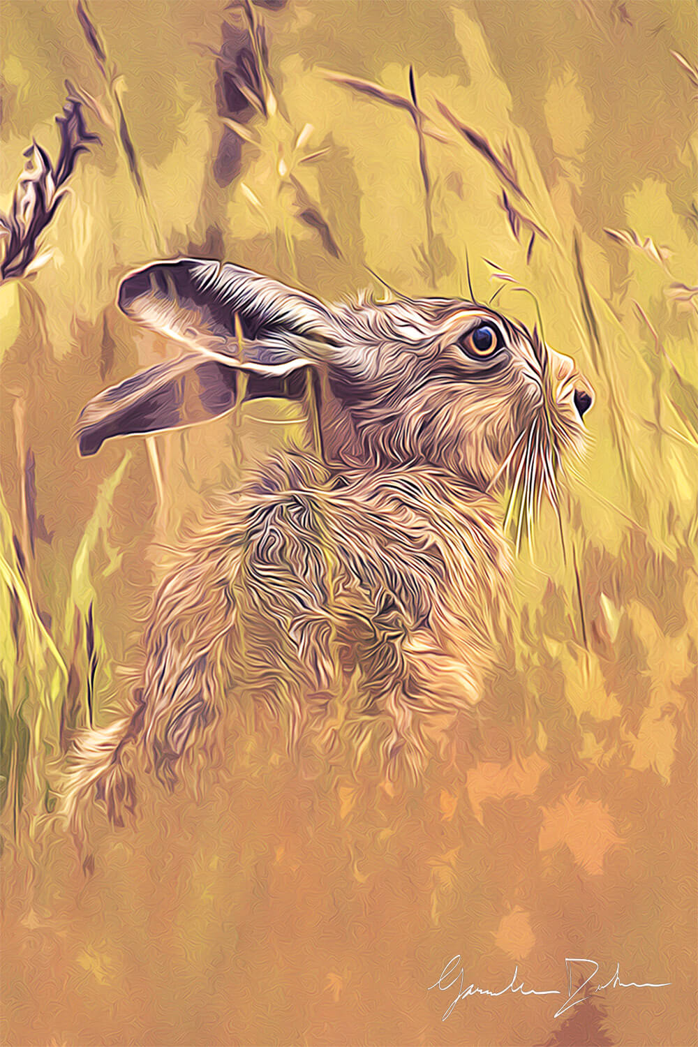 Grasslands (Meshev)