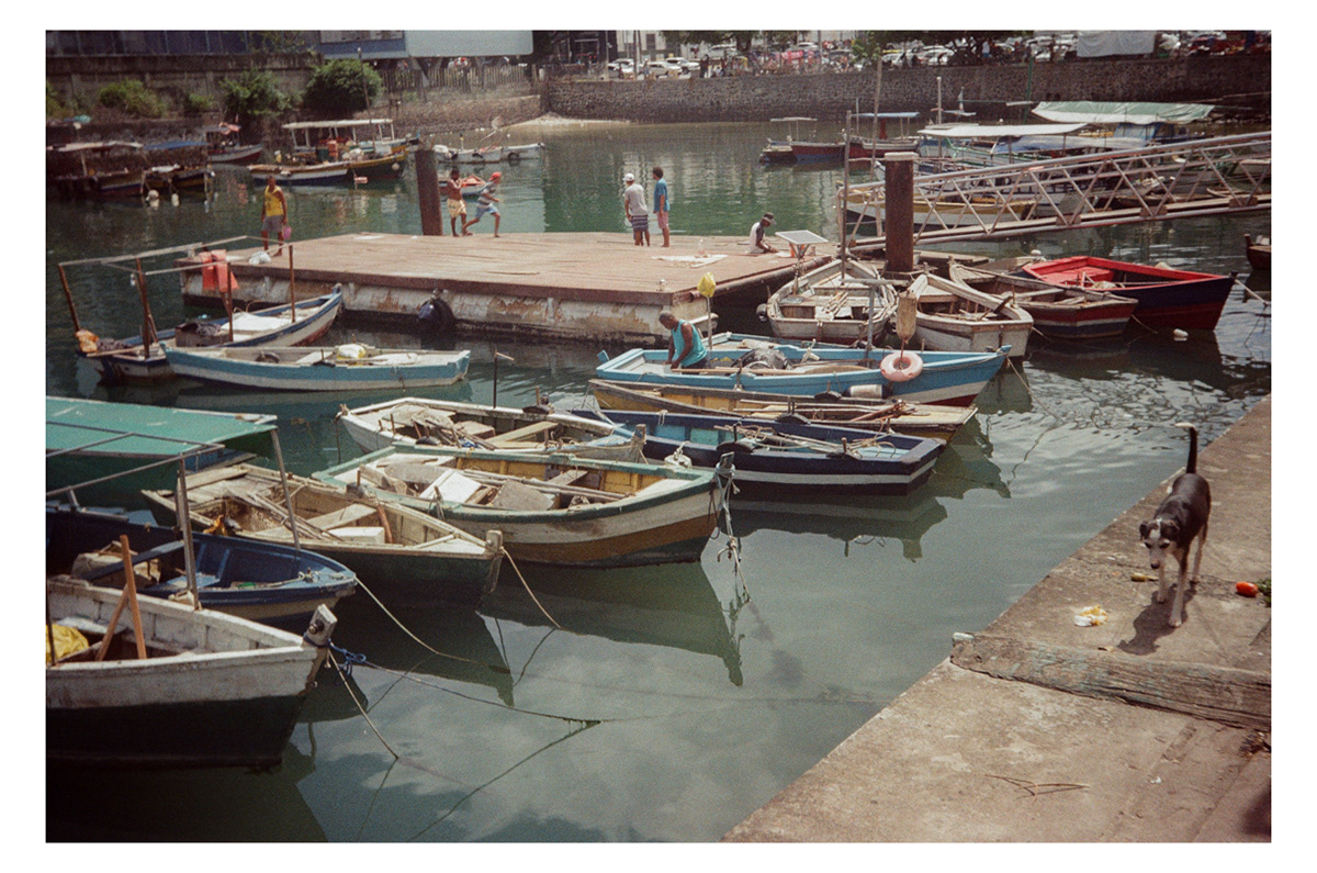 São Joaquim - Salvador/2024