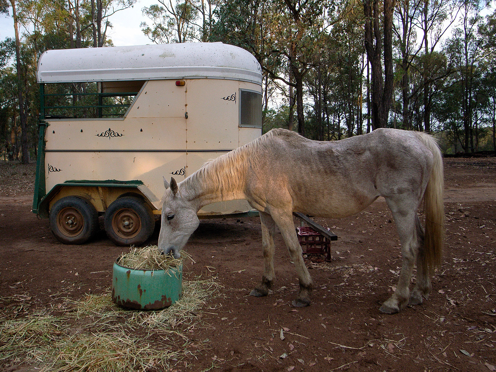 Hunter Valley during drought