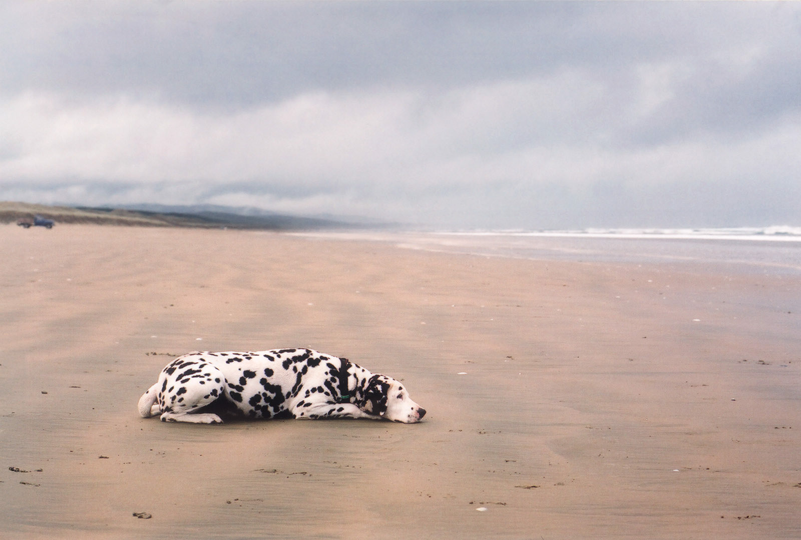 Tokeroa beach