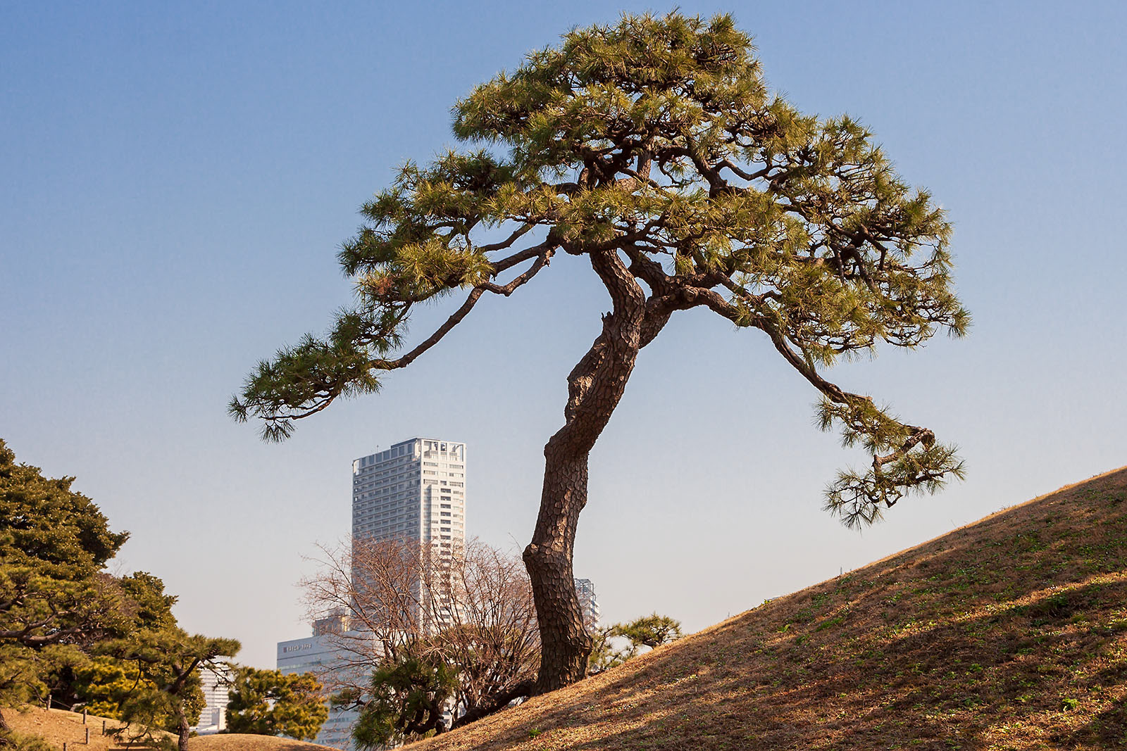 Tokugawa gardens, Nagoya, Japan
