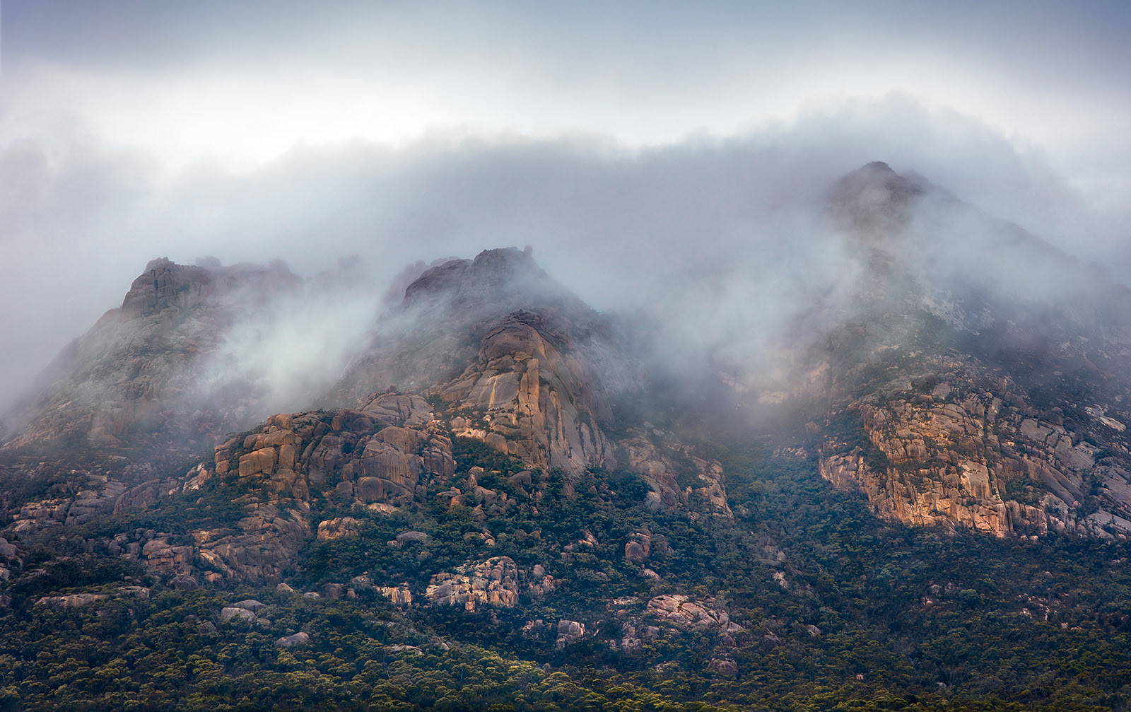 Freycinet