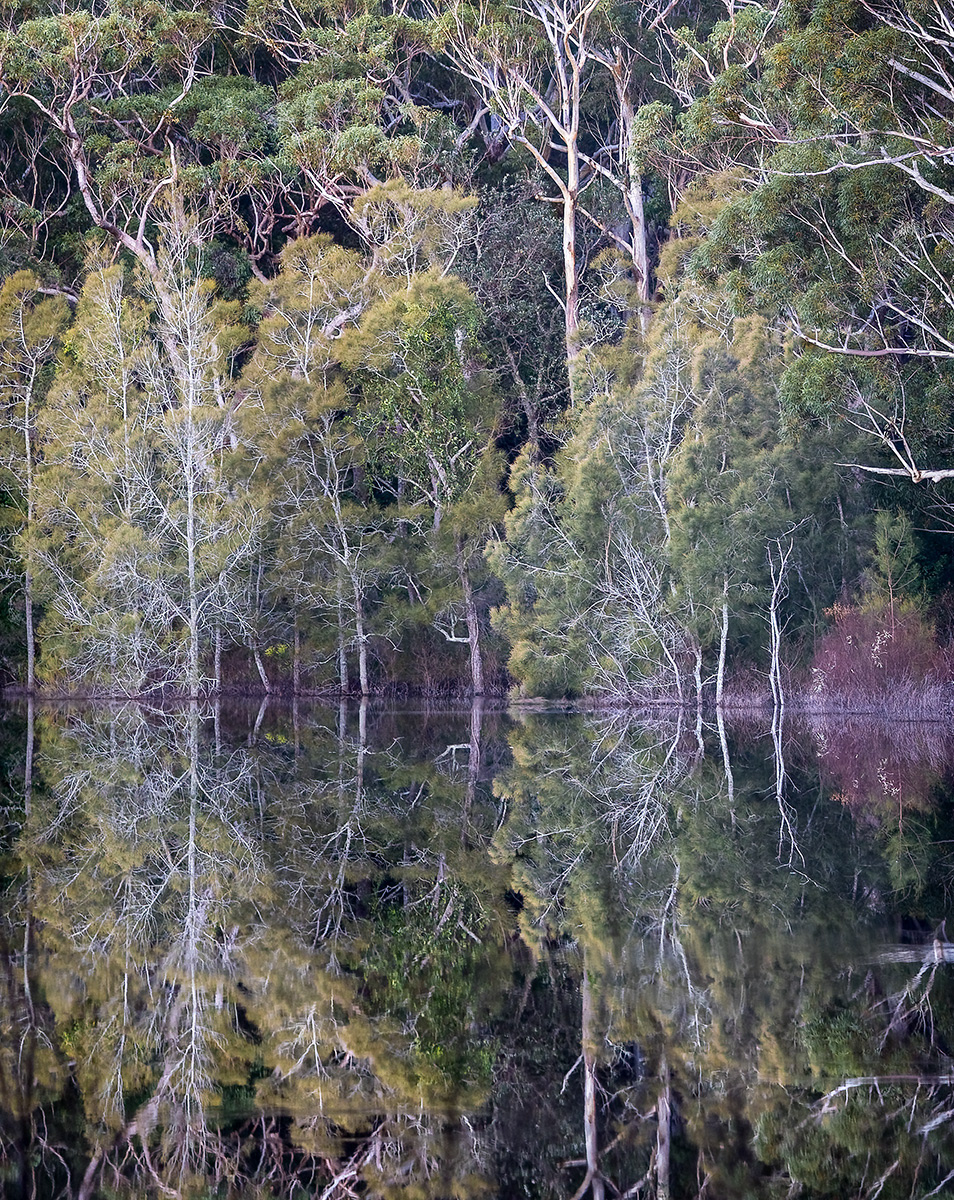 Black waterhole