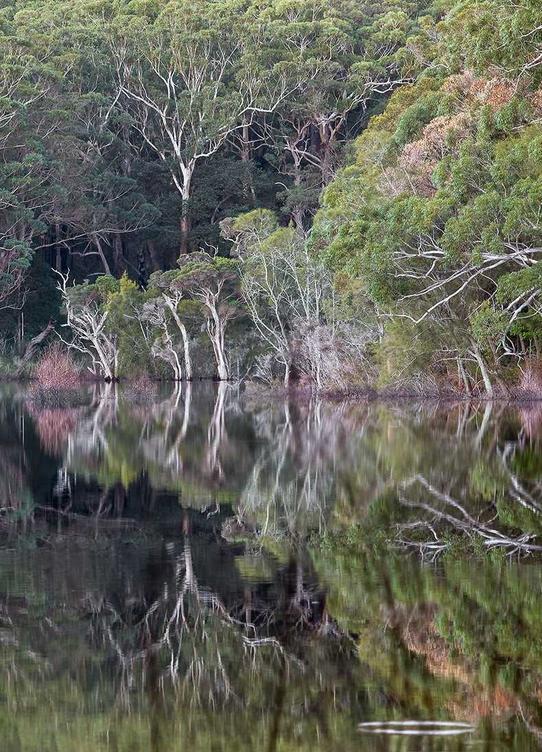 Black waterhole