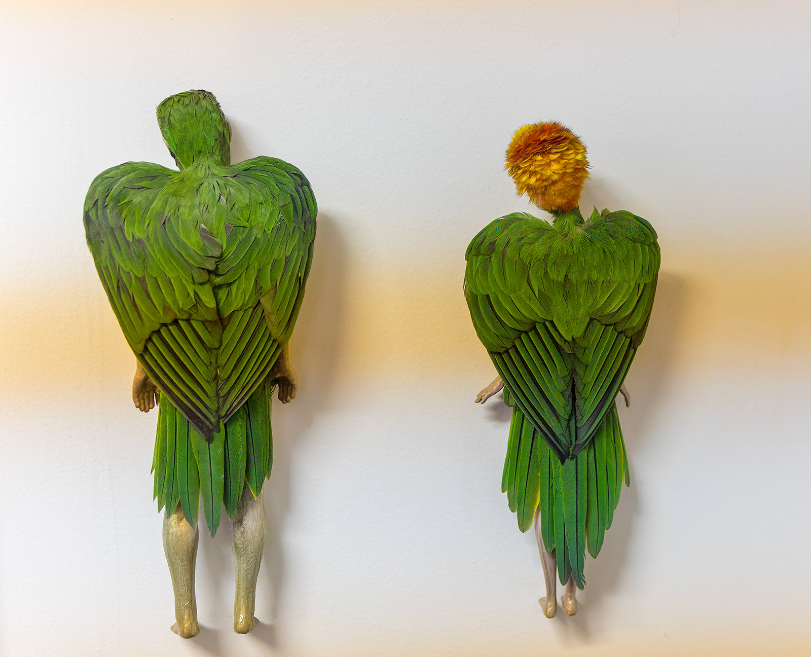 Emily Valentine feather sculptures at Lennox St studios