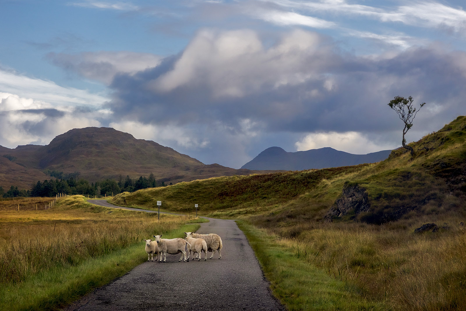 Torridon