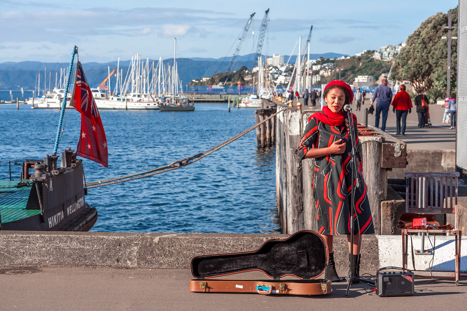 Busker in Wellington