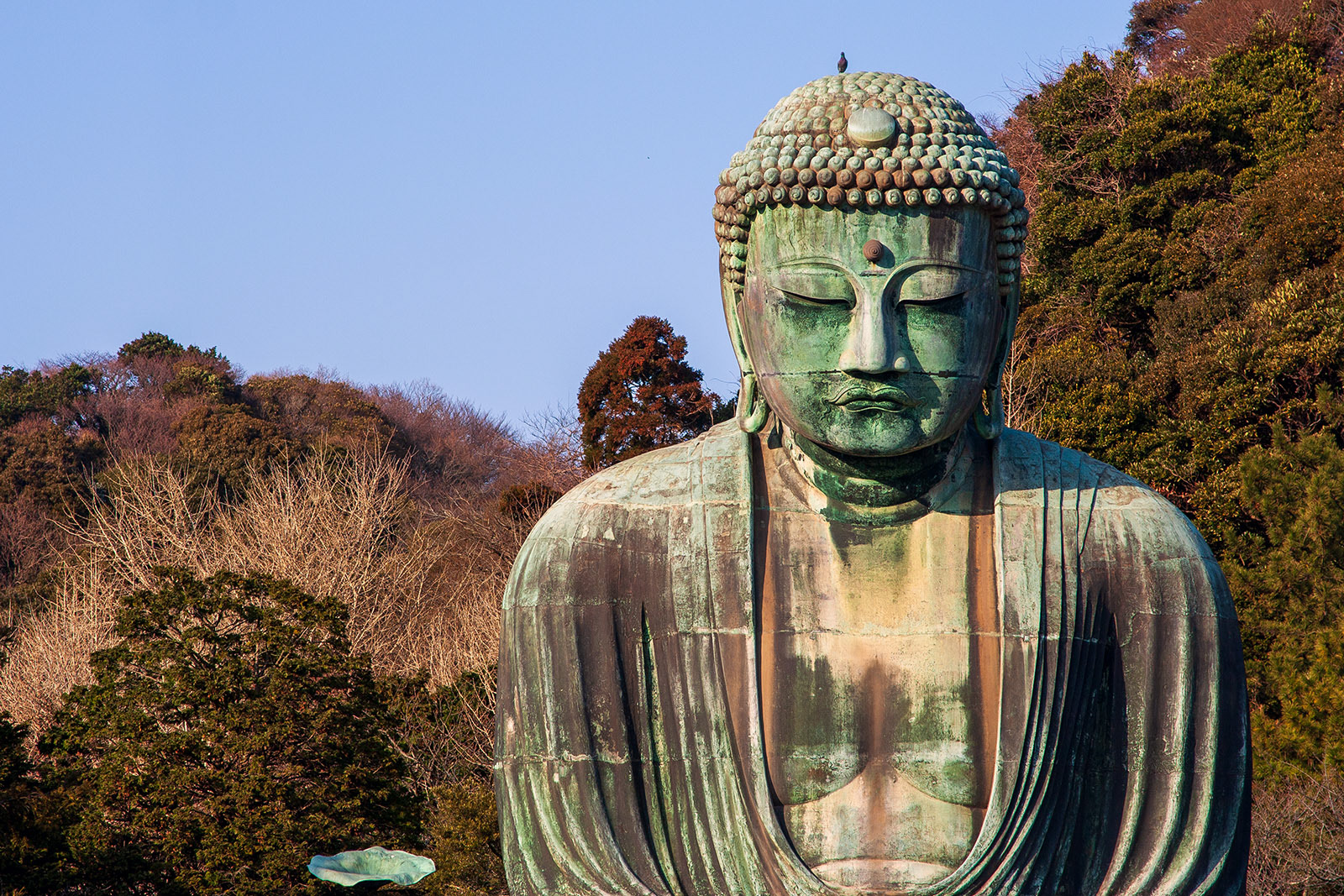 Daibutsu, the Great Buddha at Kamakura