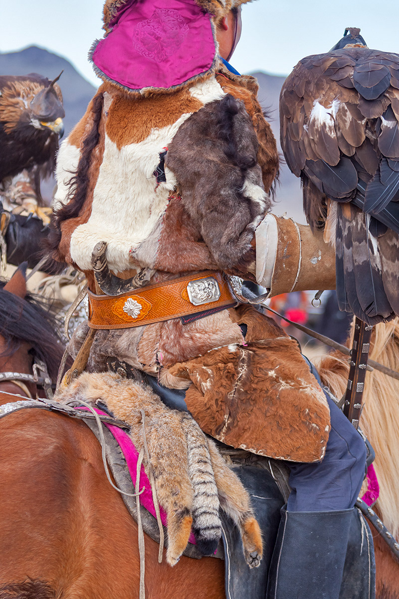 Man on horse with pelt of the endangered Pallas’s Cat (Steppe cat or Manul)