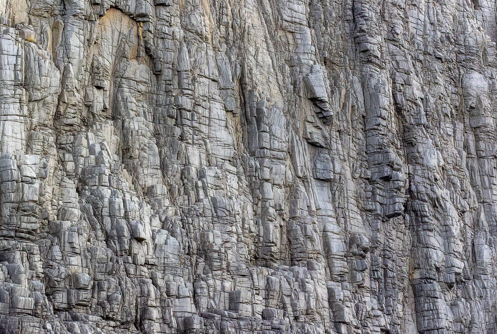 Bruny Island cliffs