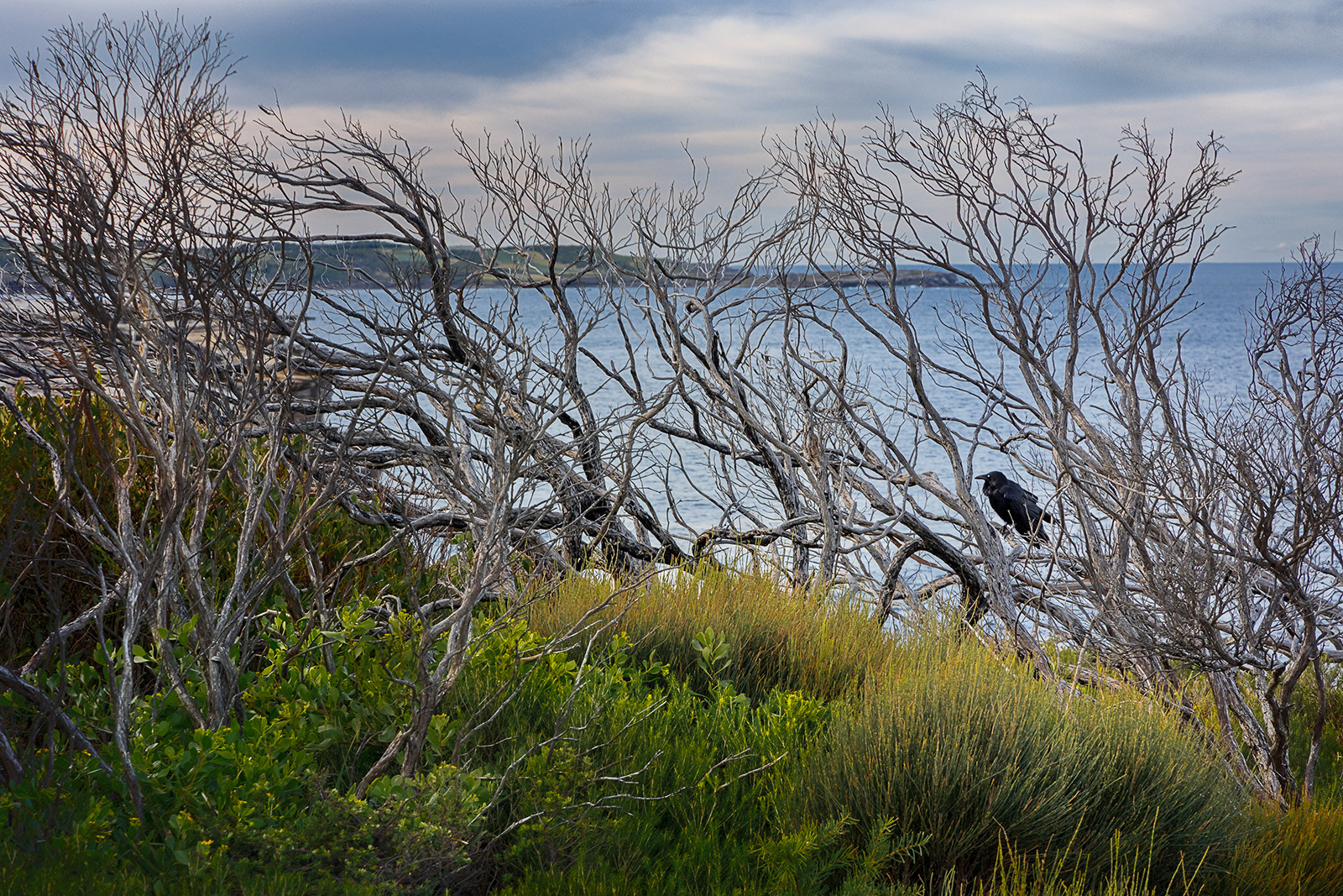 Kurnell
