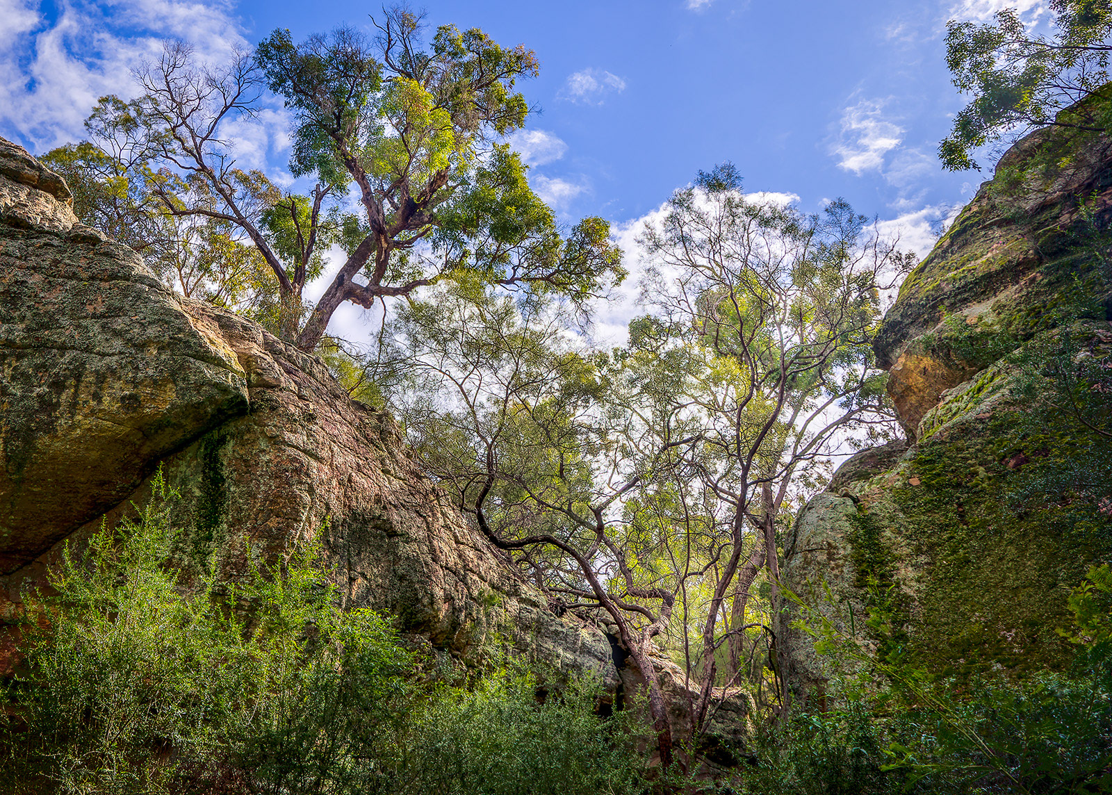 The Drip, Mudgee