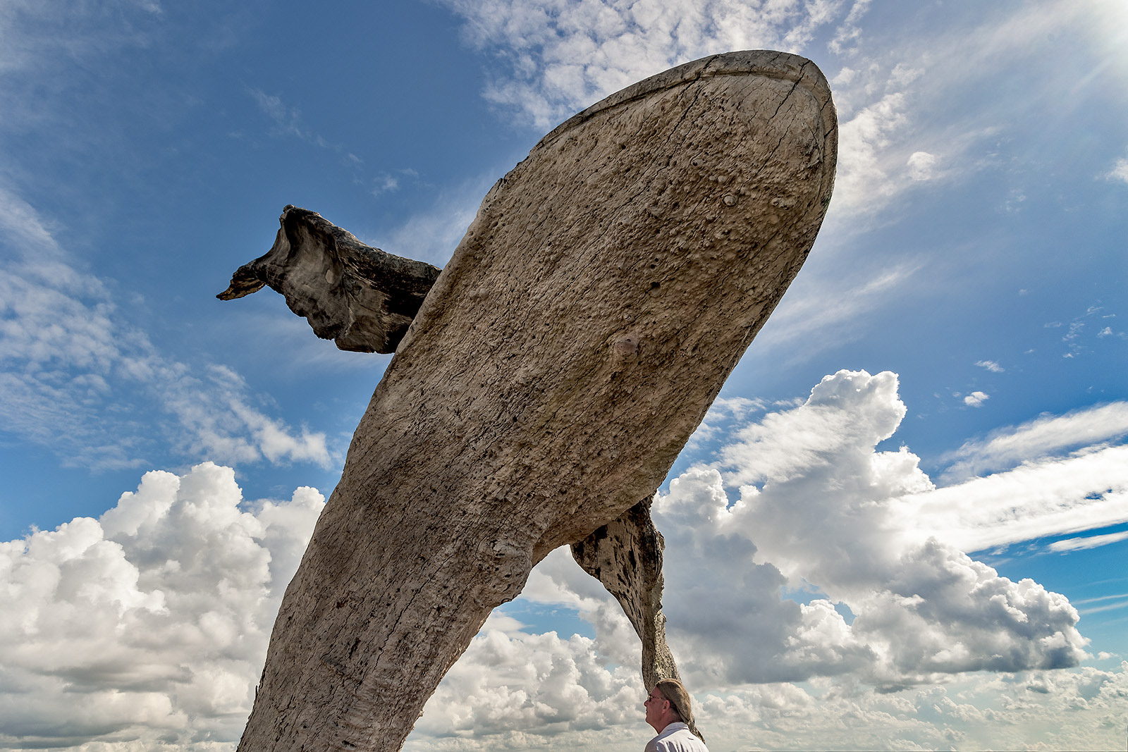 Michael Greve & Bleaching at Fort Scratchley sculptures