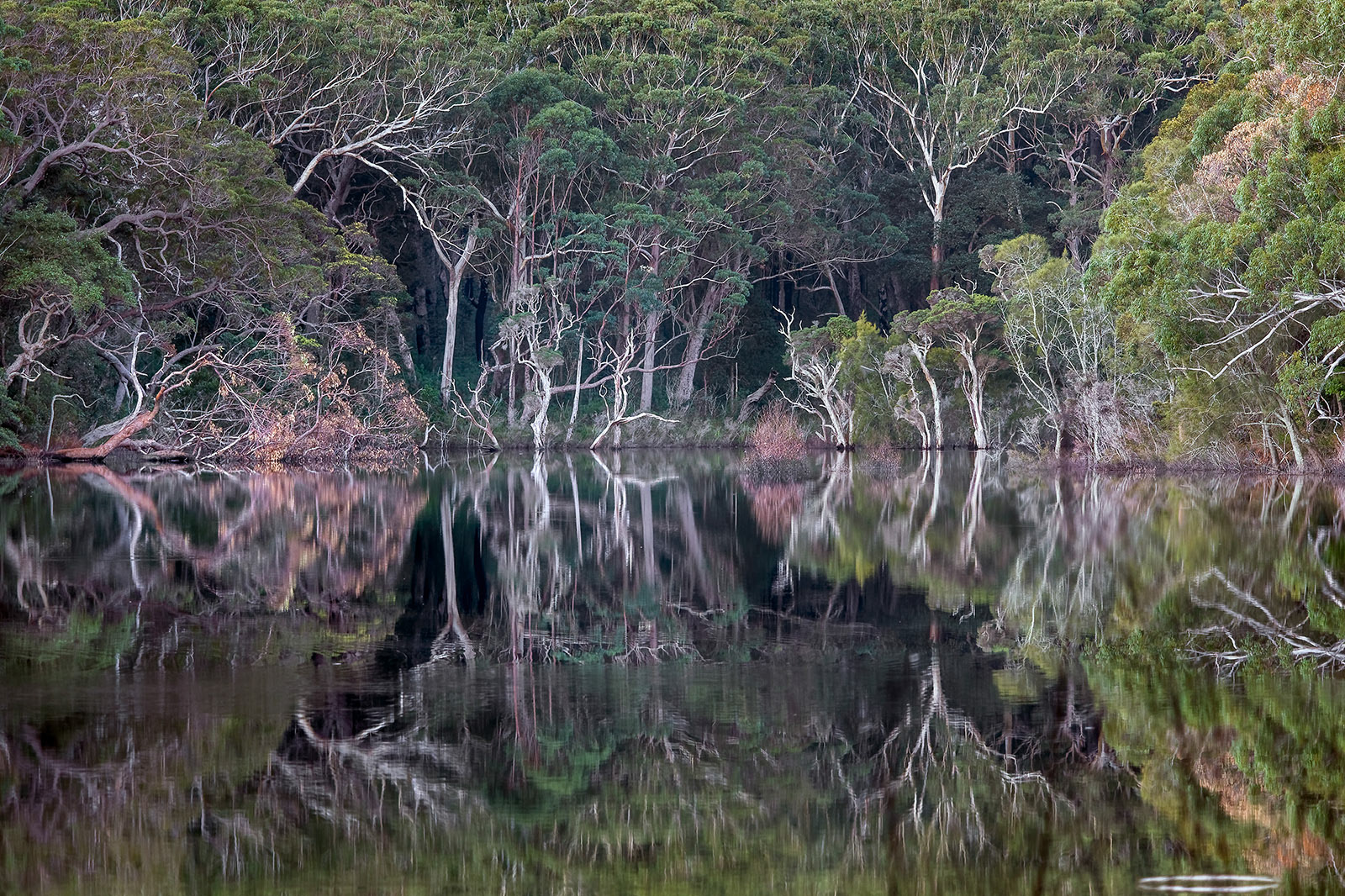 Blacks waterhole