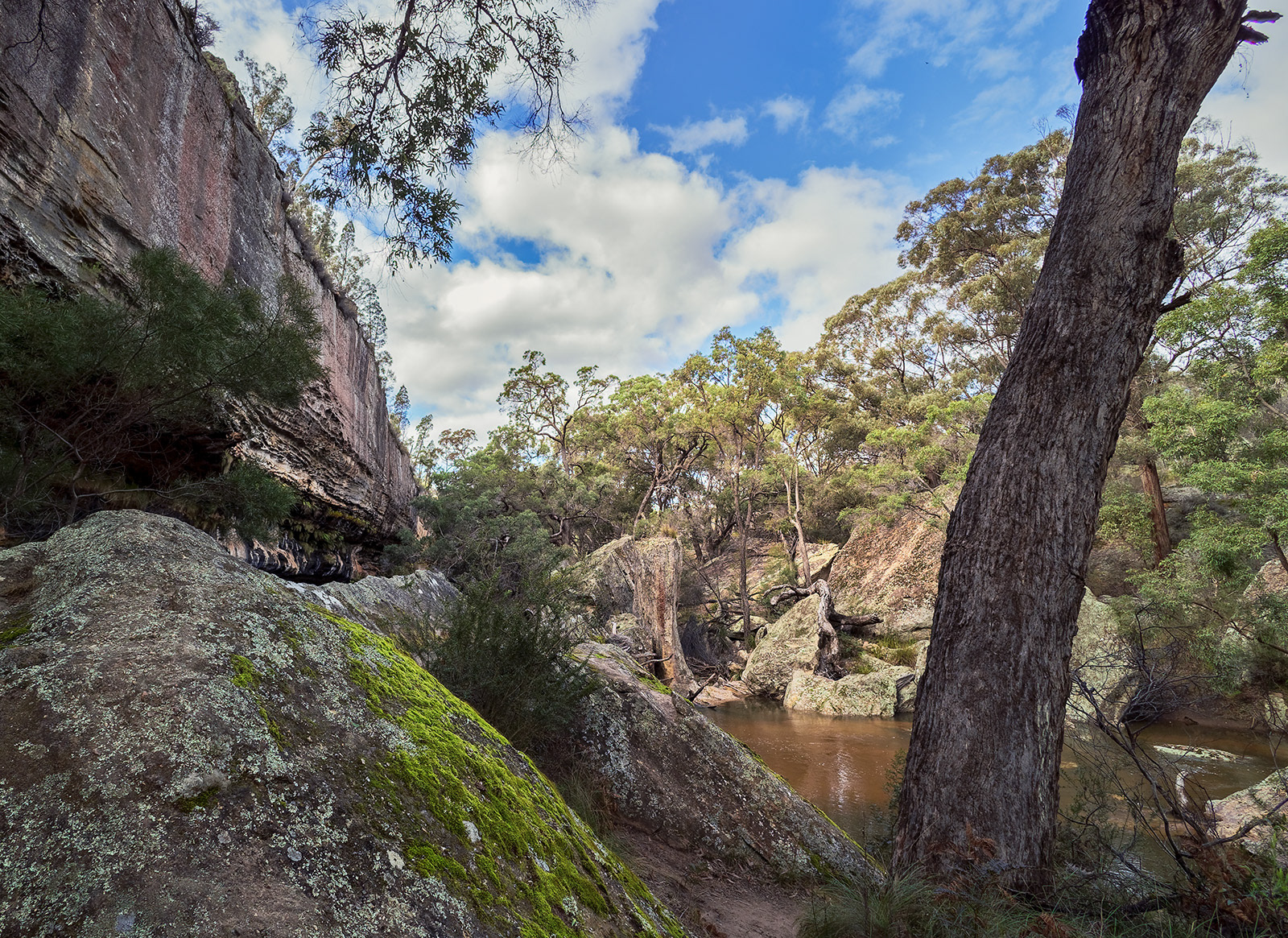 The Drip, Mudgee