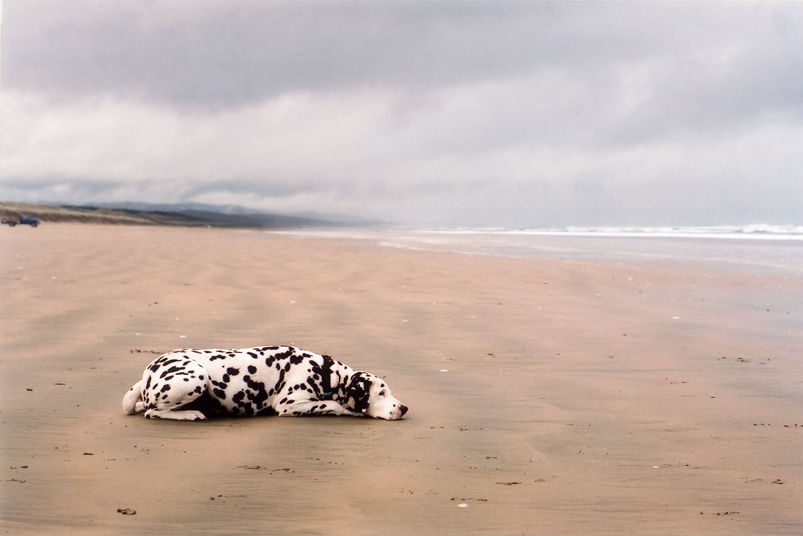 Tokeroa beach
