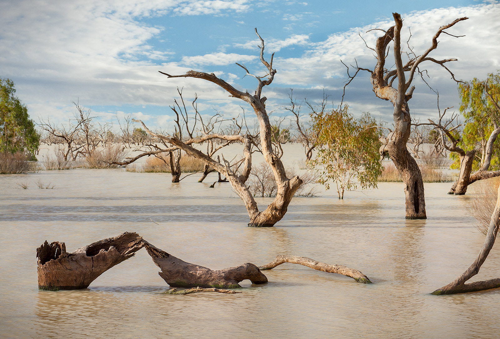 Menindee lakes