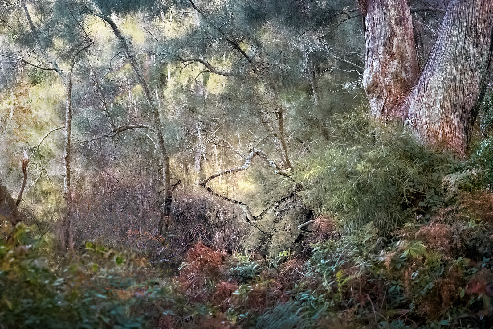 Blacks Waterhole, Jervis Bay