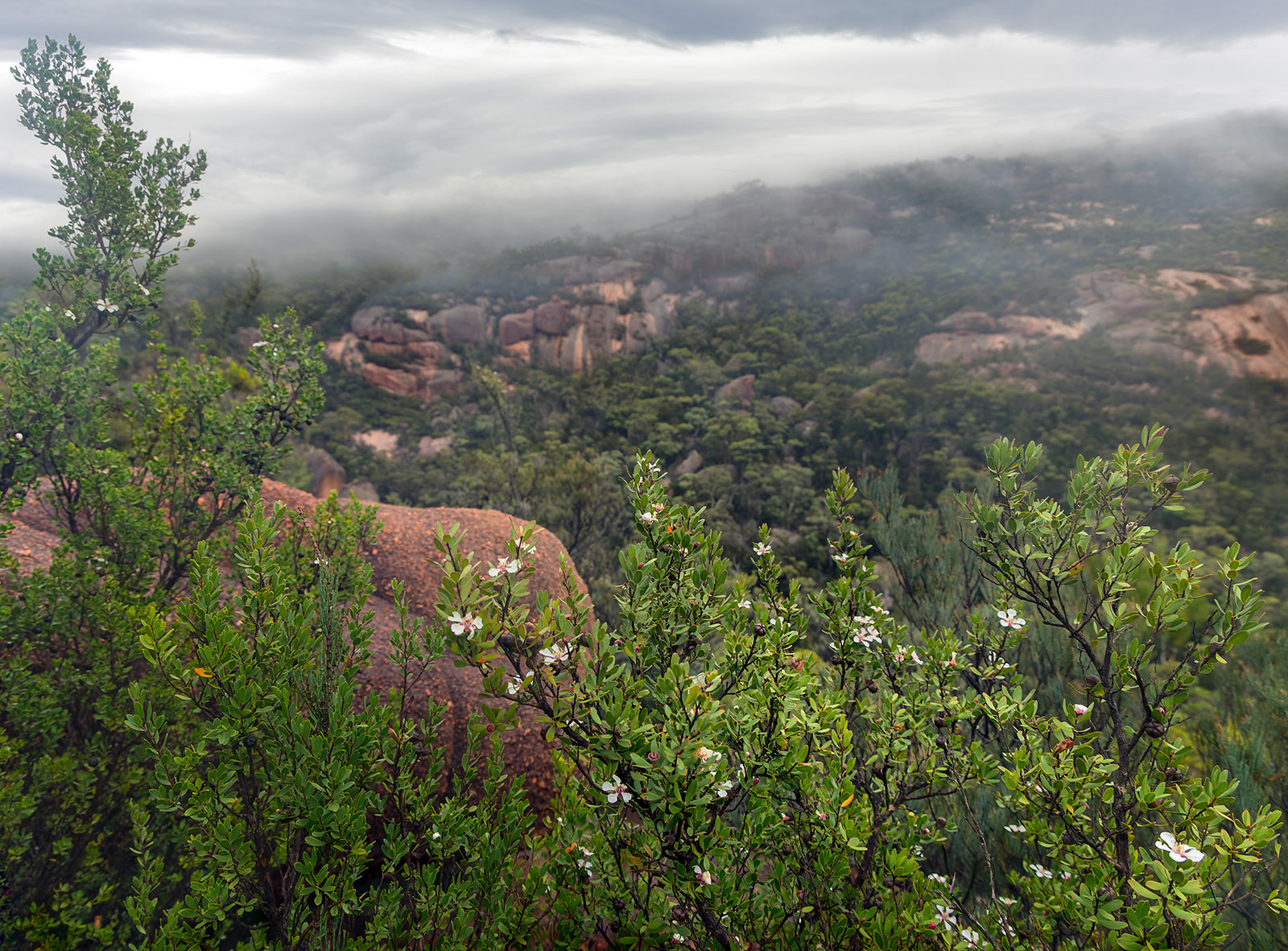 Freycinet