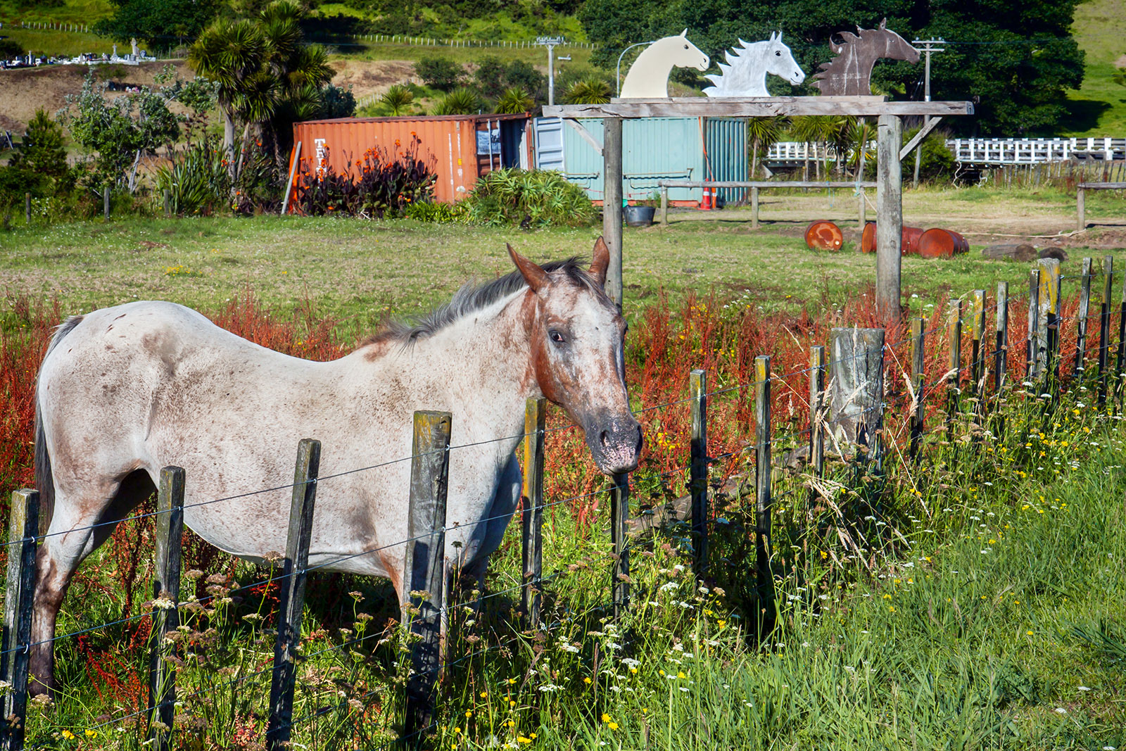 Ahipara