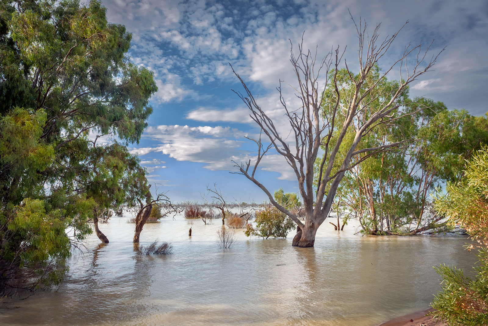 Menindee lakes