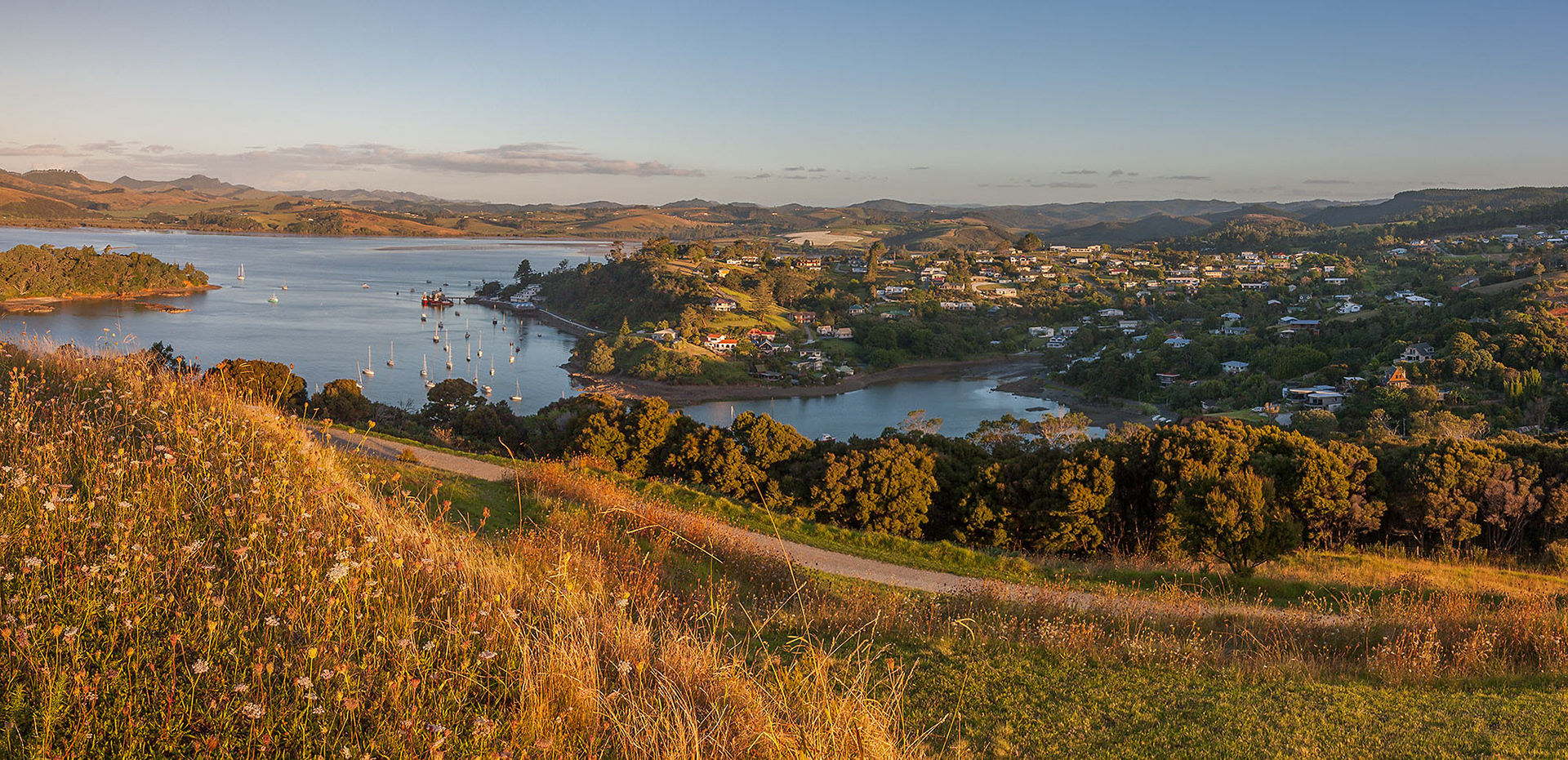 Mangonui from Rangikapiti pa