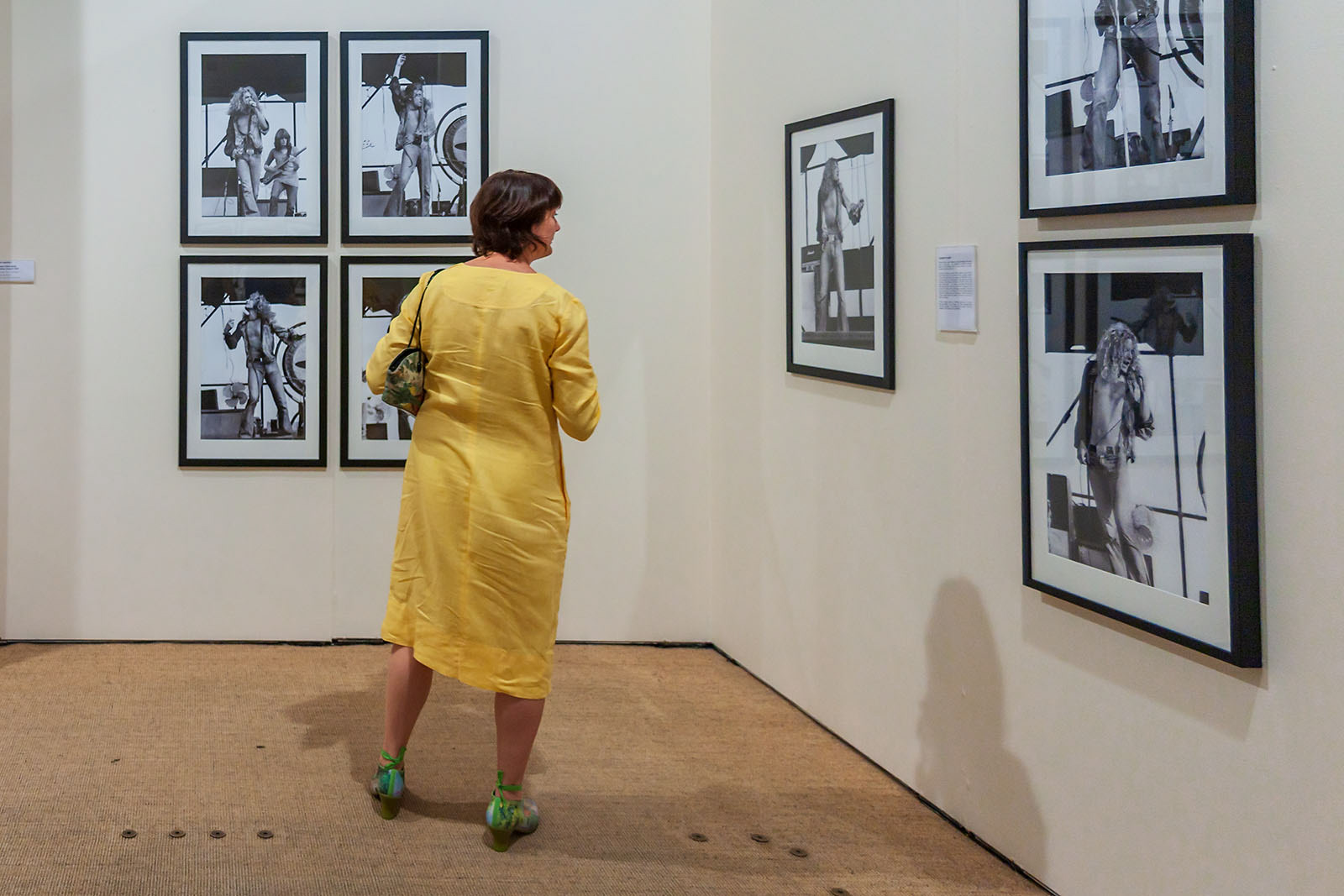 Ted Harvey exhibition