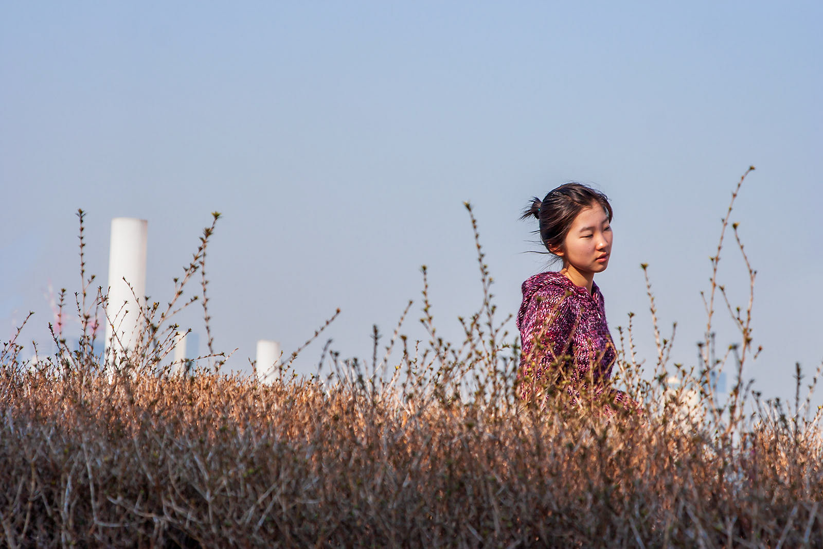 Girl in Tokyo Bay, Japan