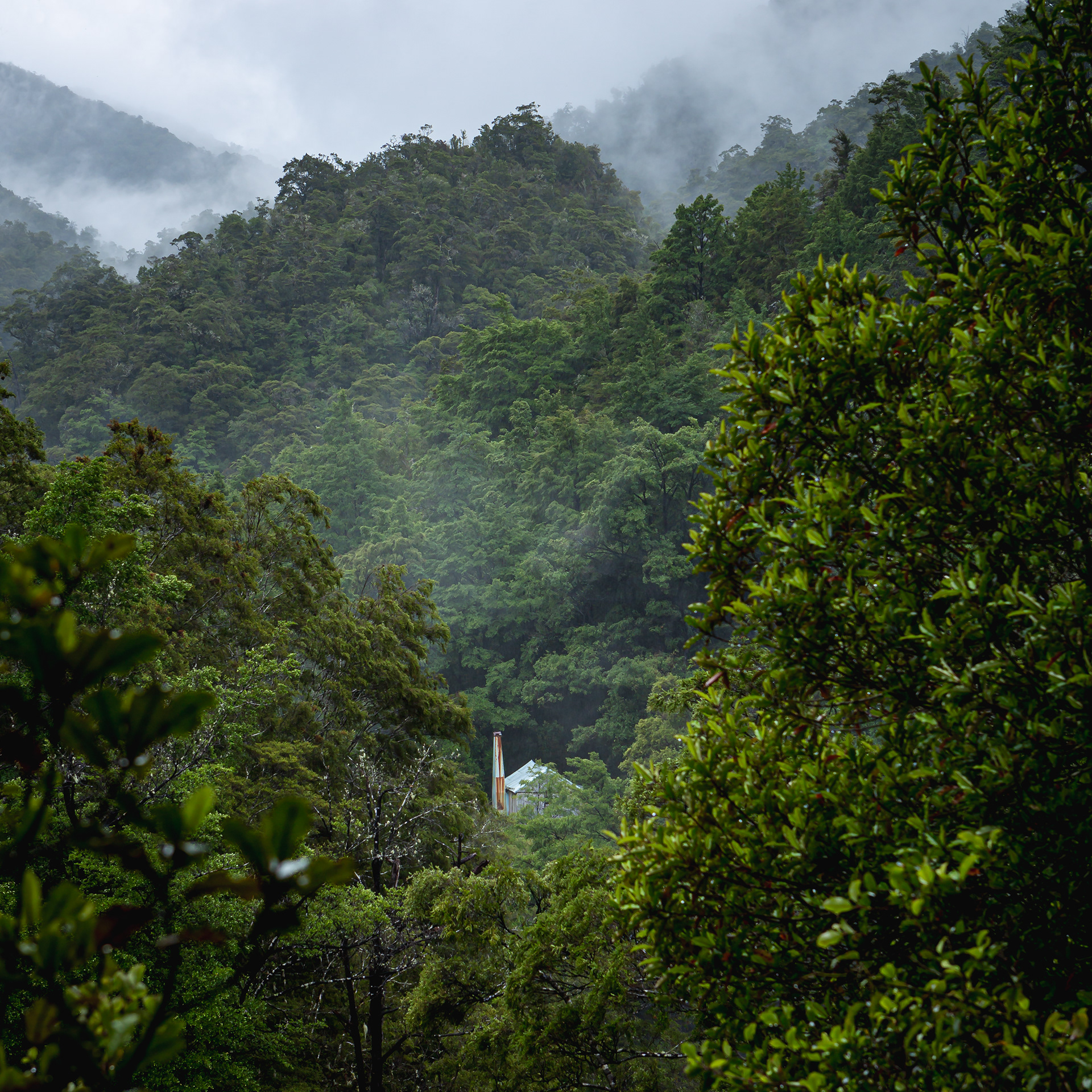 Cecil Kings Hut, Kahurangi National Park