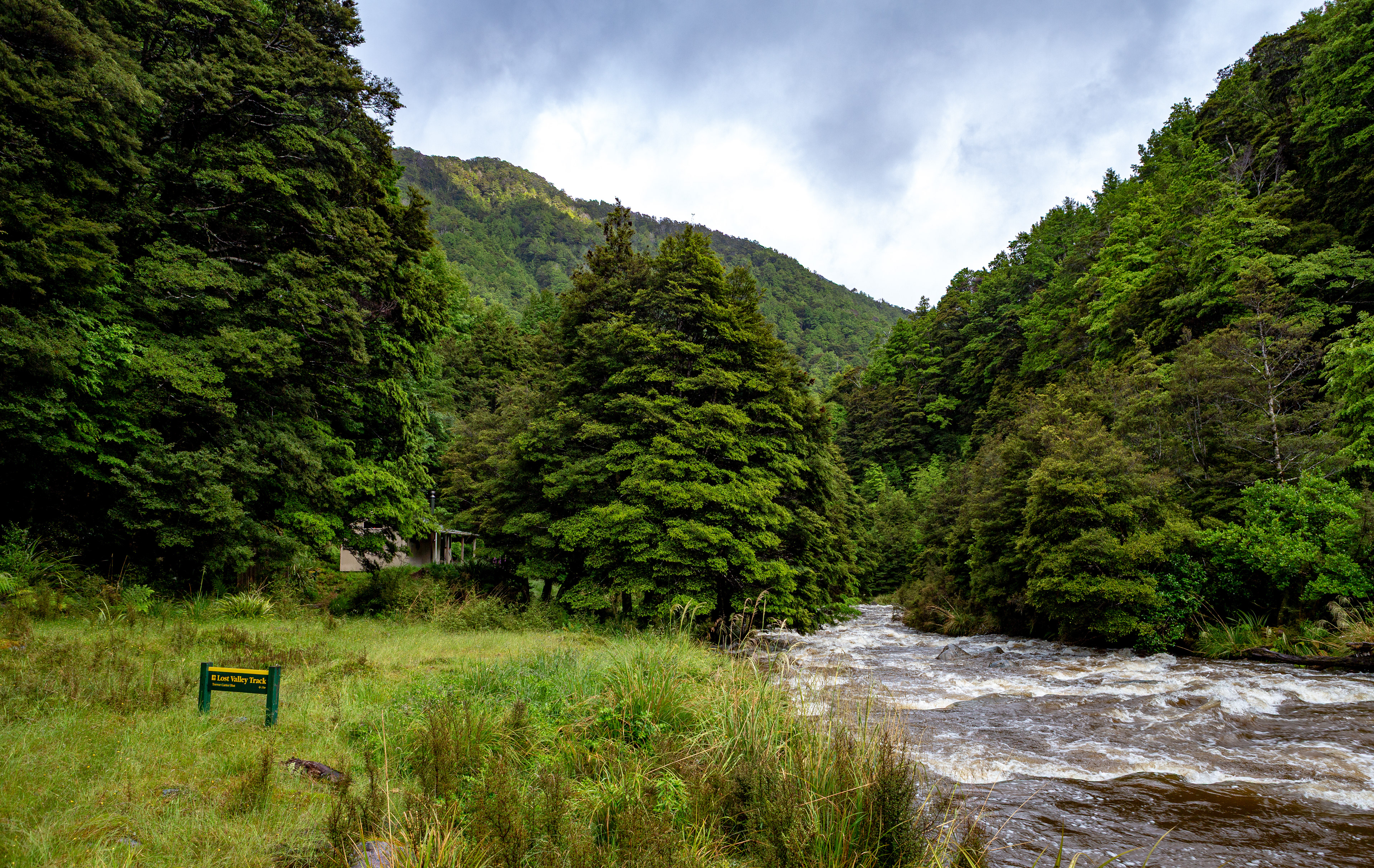 Helicopter Flat Hut, Kahurangi National Park