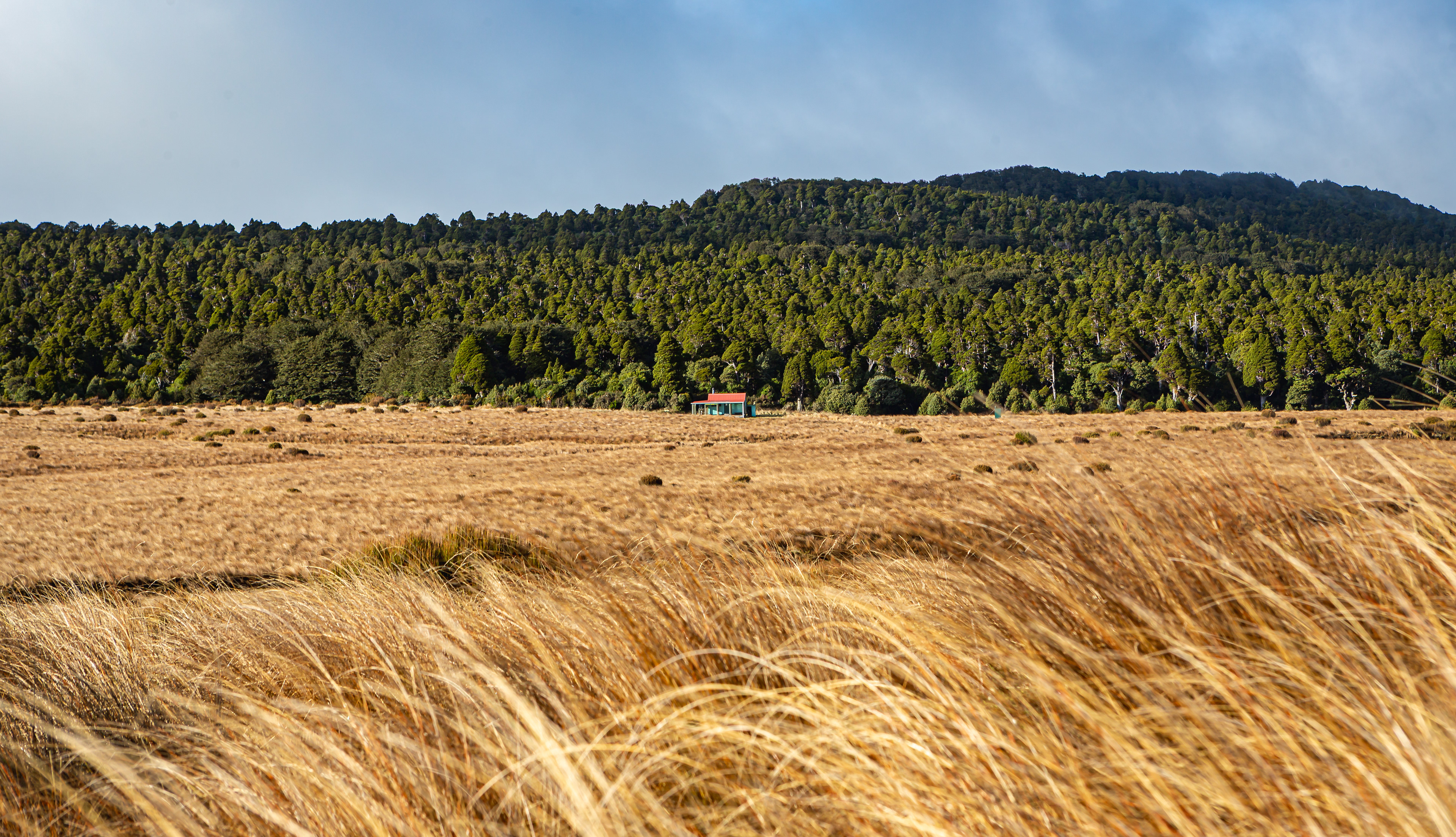 Ruahine Corner Hut, Ruahine Forest Park