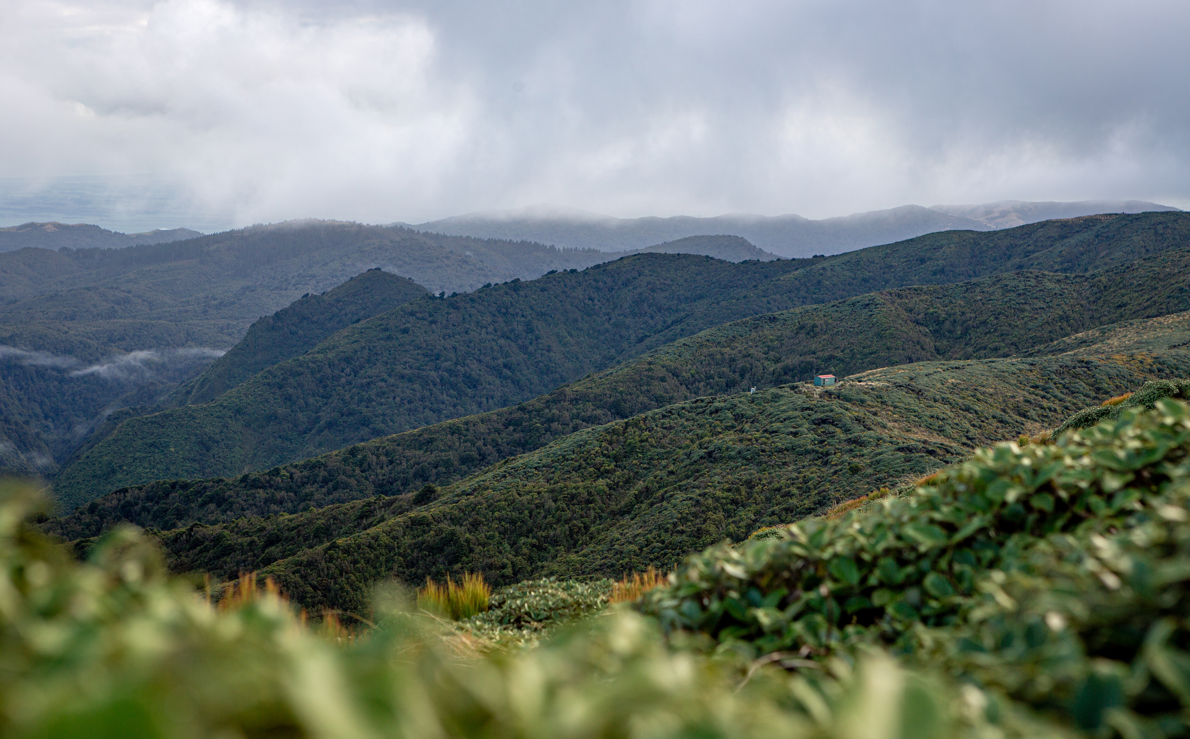 Burn Hut, Tararua Forest Park