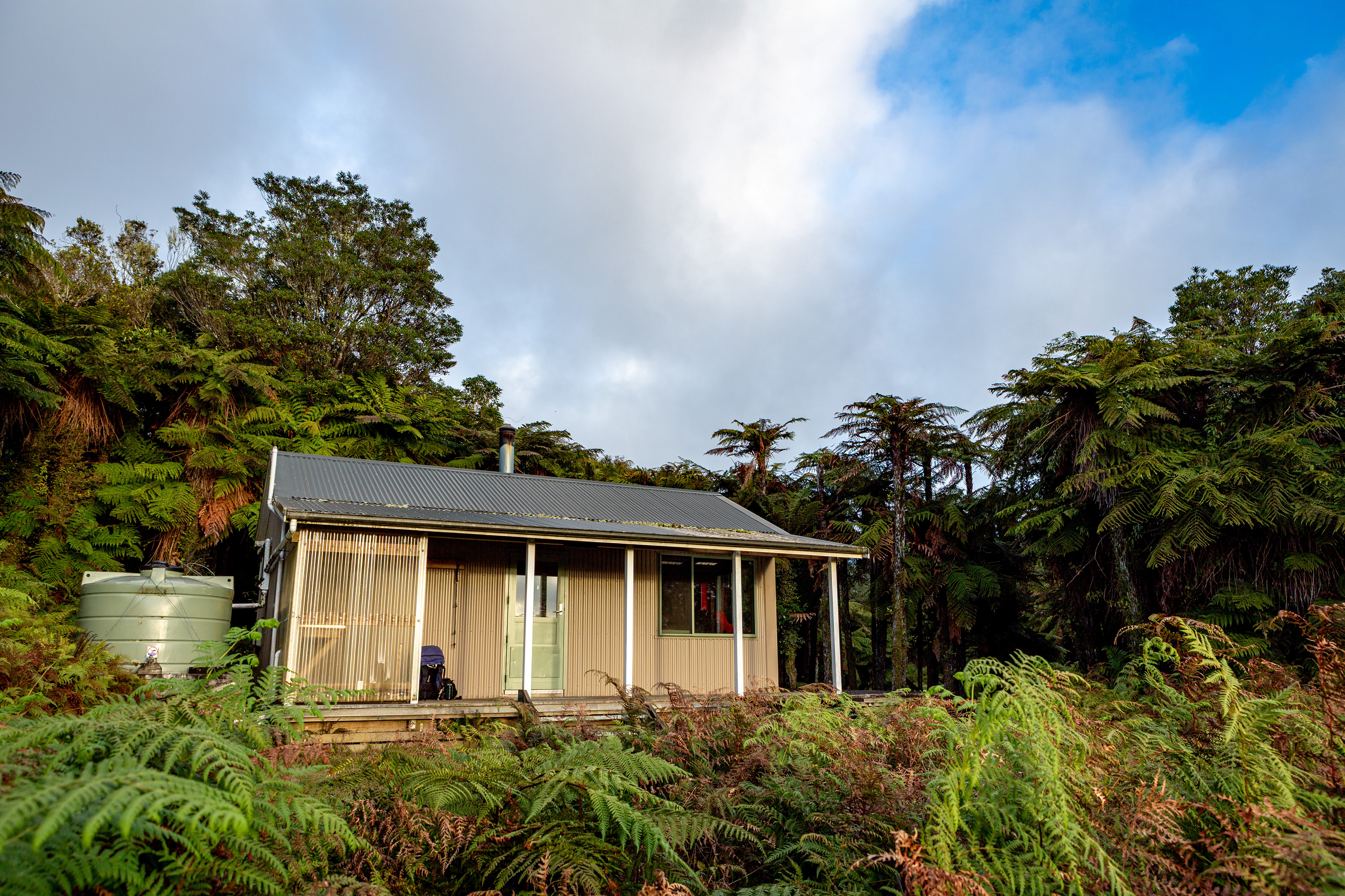Ngapurua Hut, Whanganui National Park