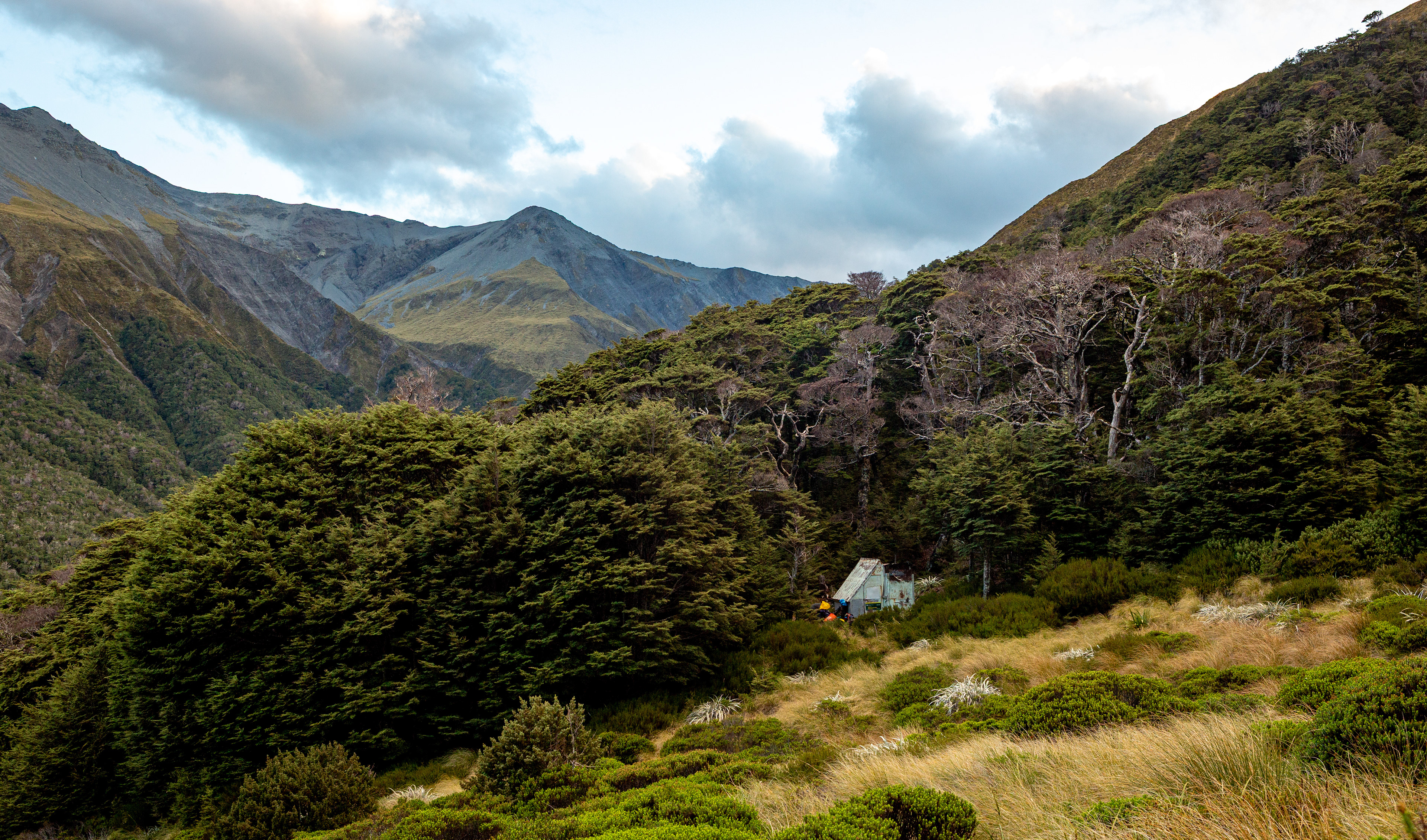 Burn Creek Hut, Nelson Lakes National Park