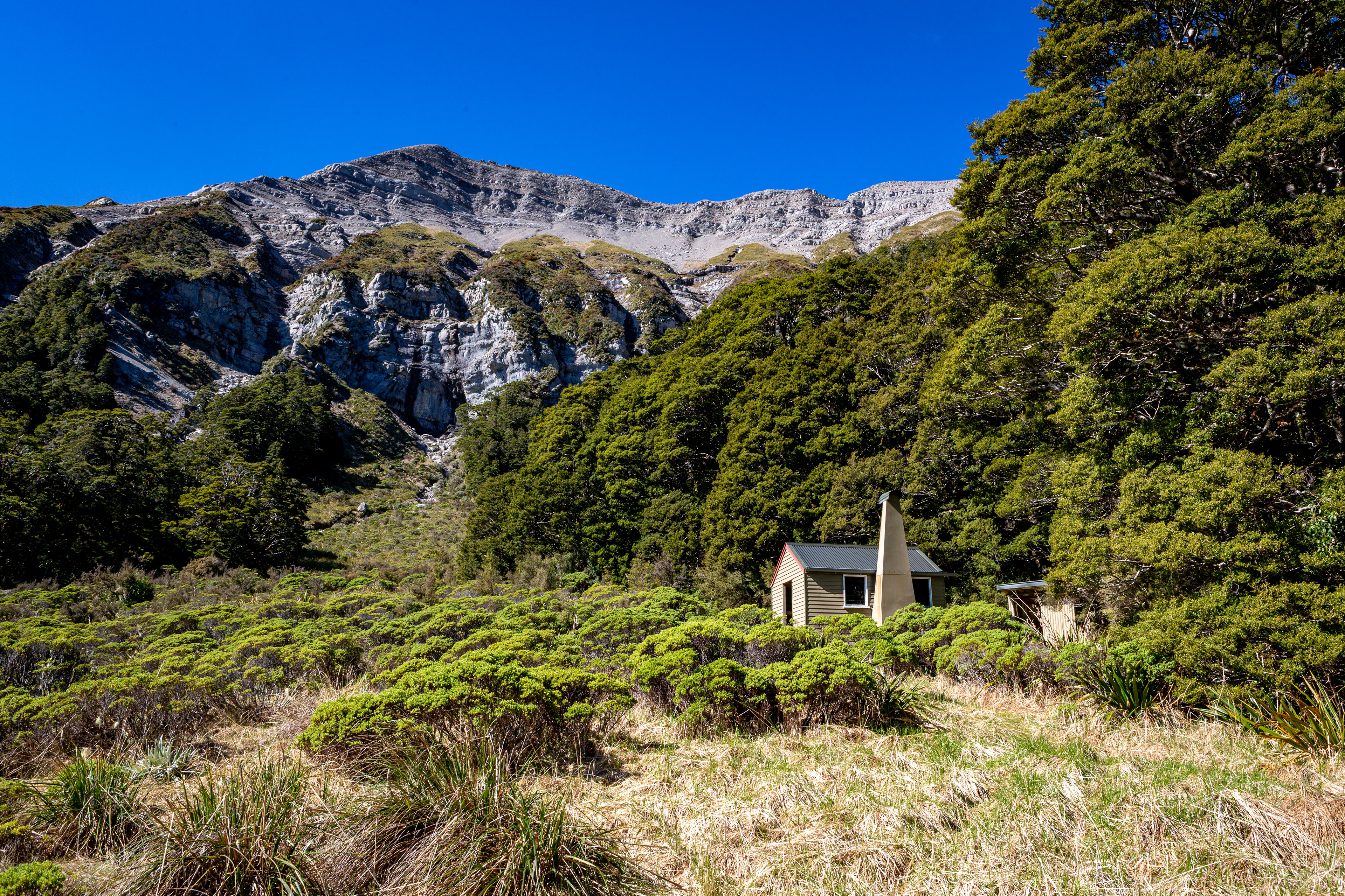 Larrikin Creek Hut, Kahurangi National Park