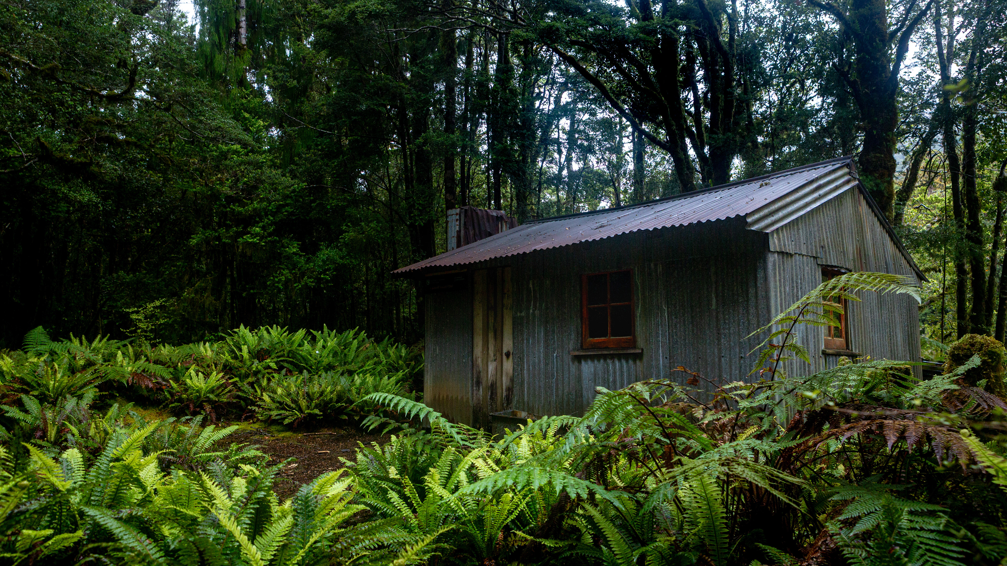 Caswell Sound Hut, Fiordland National Park