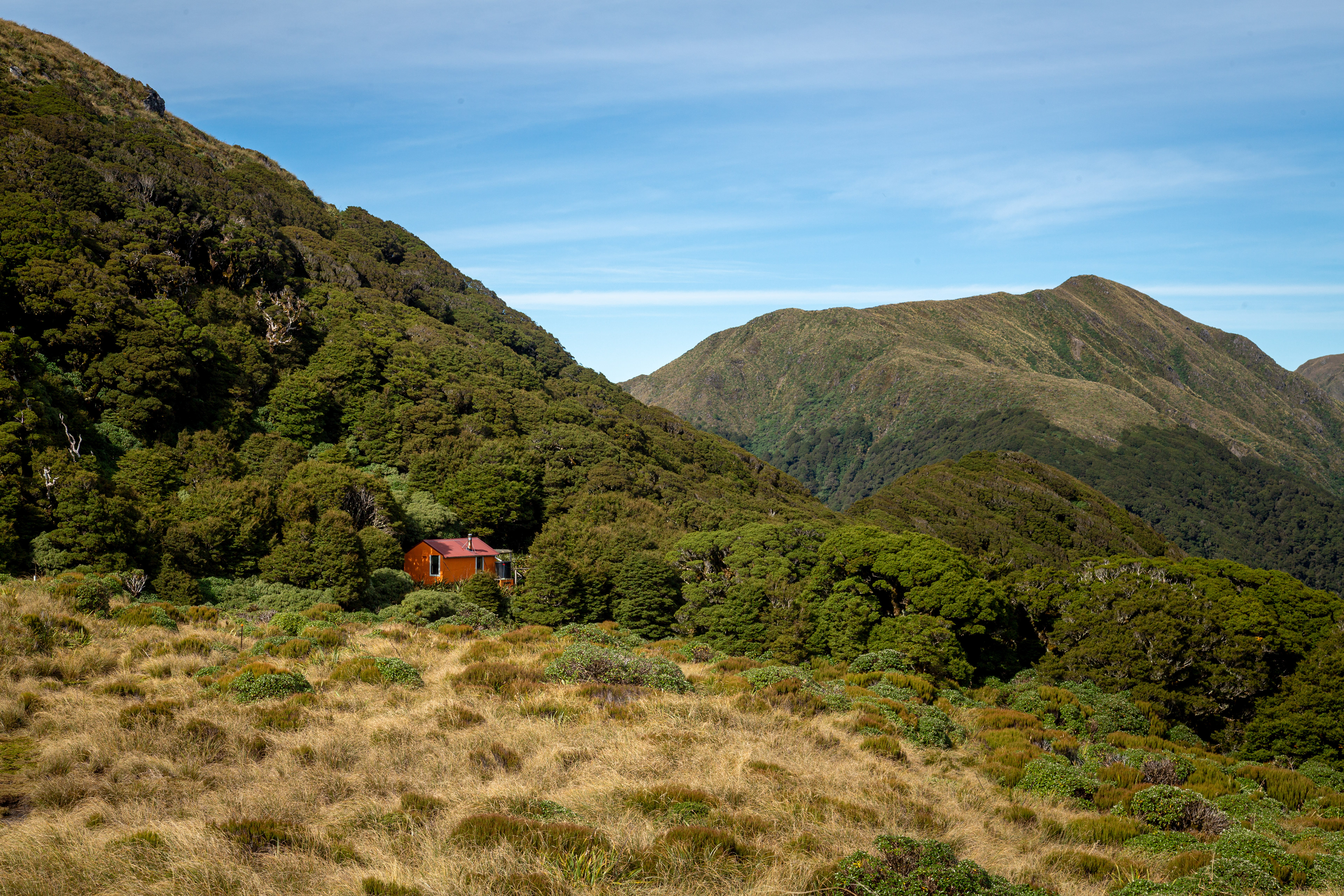 Anderson Memorial Hut, Tararua Forest Park