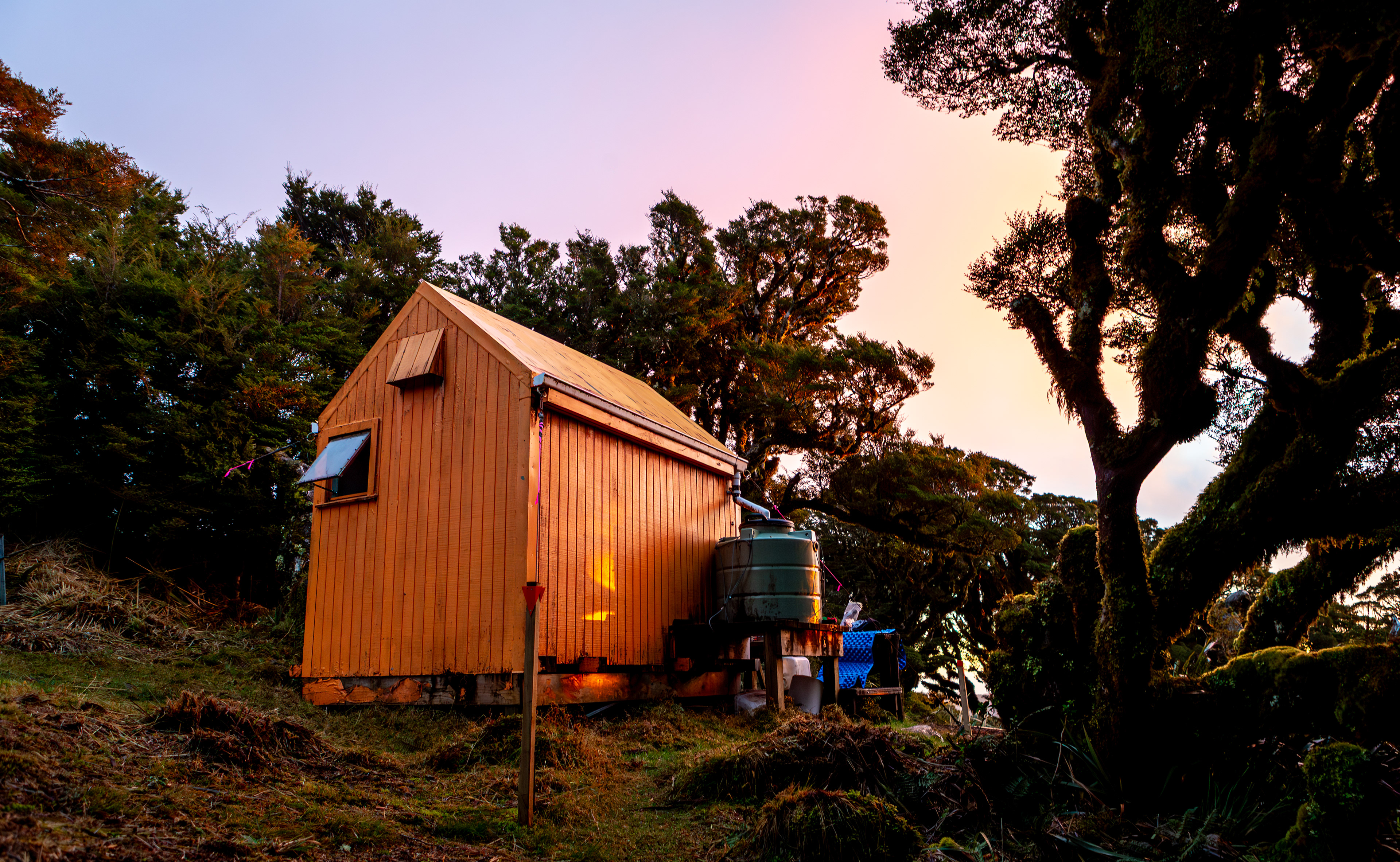 Dracophyllum Hut, Tararua Forest Park