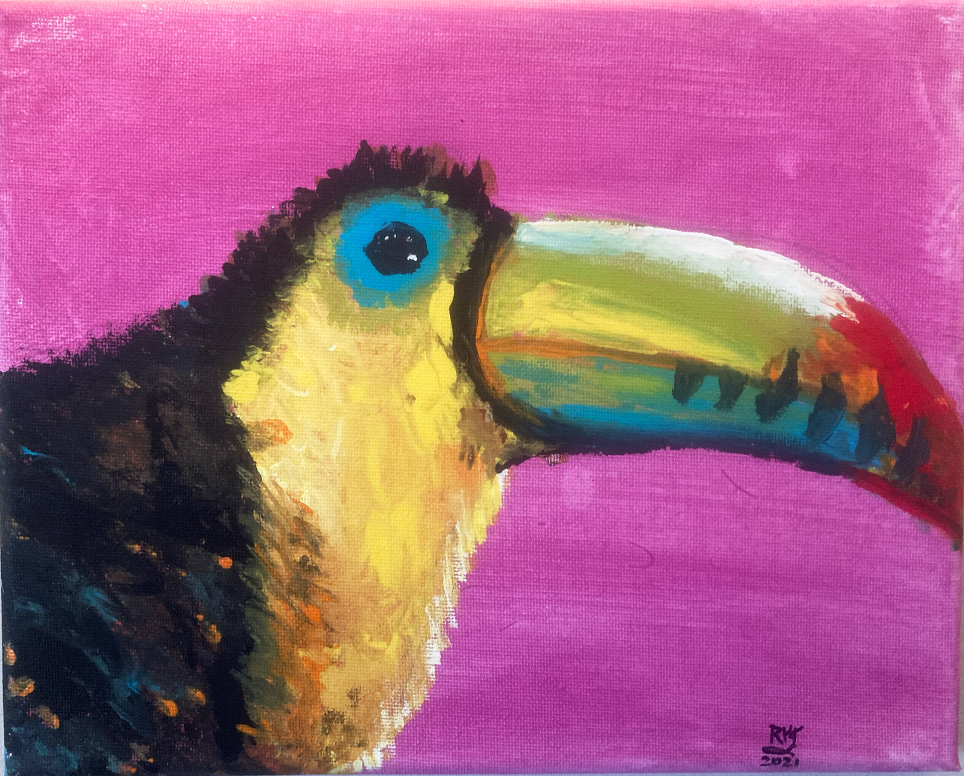 Toucan - Acrylic on canvas.