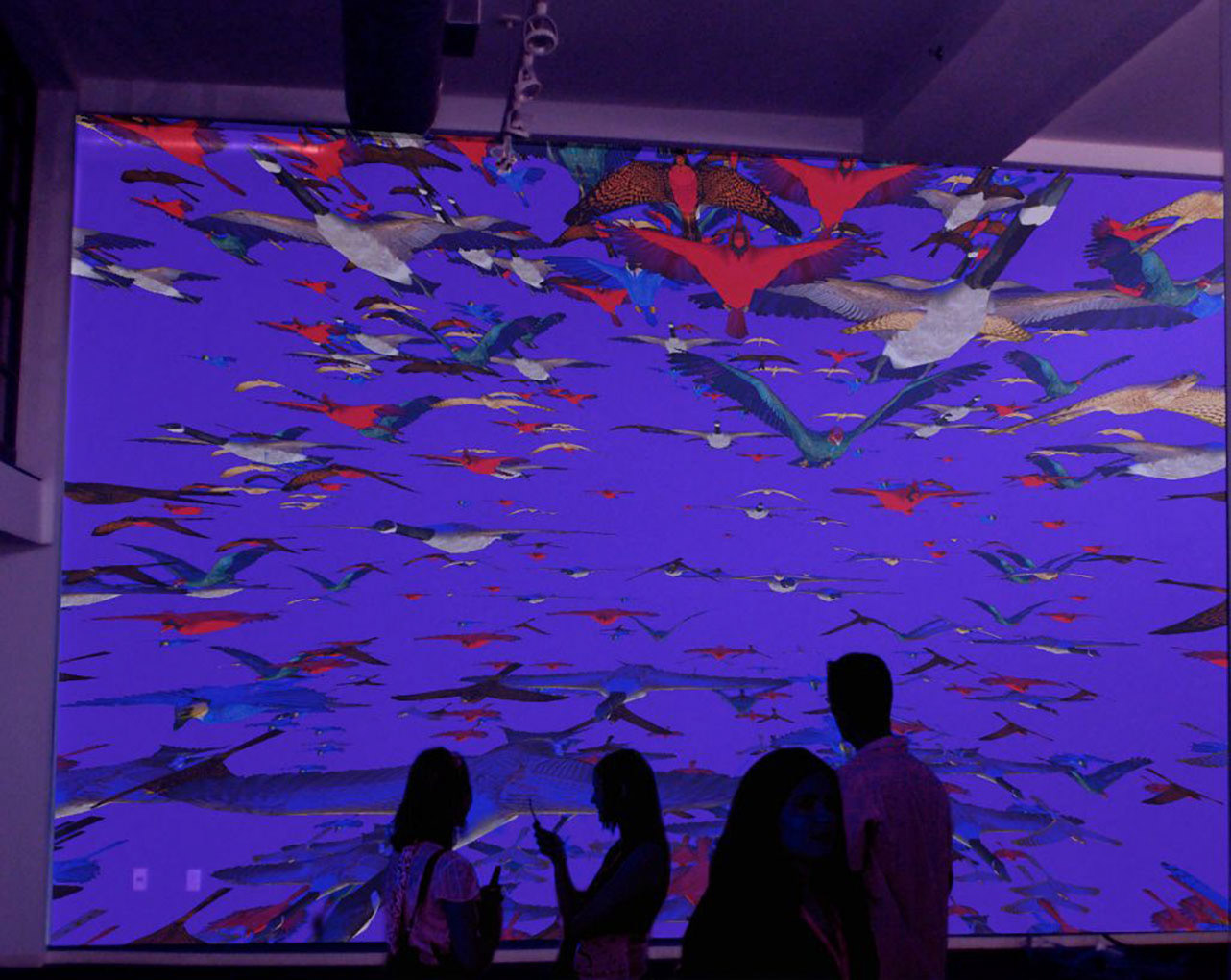"Birds of Ohio", Ingenuity Festival, Cleveland OH 2012