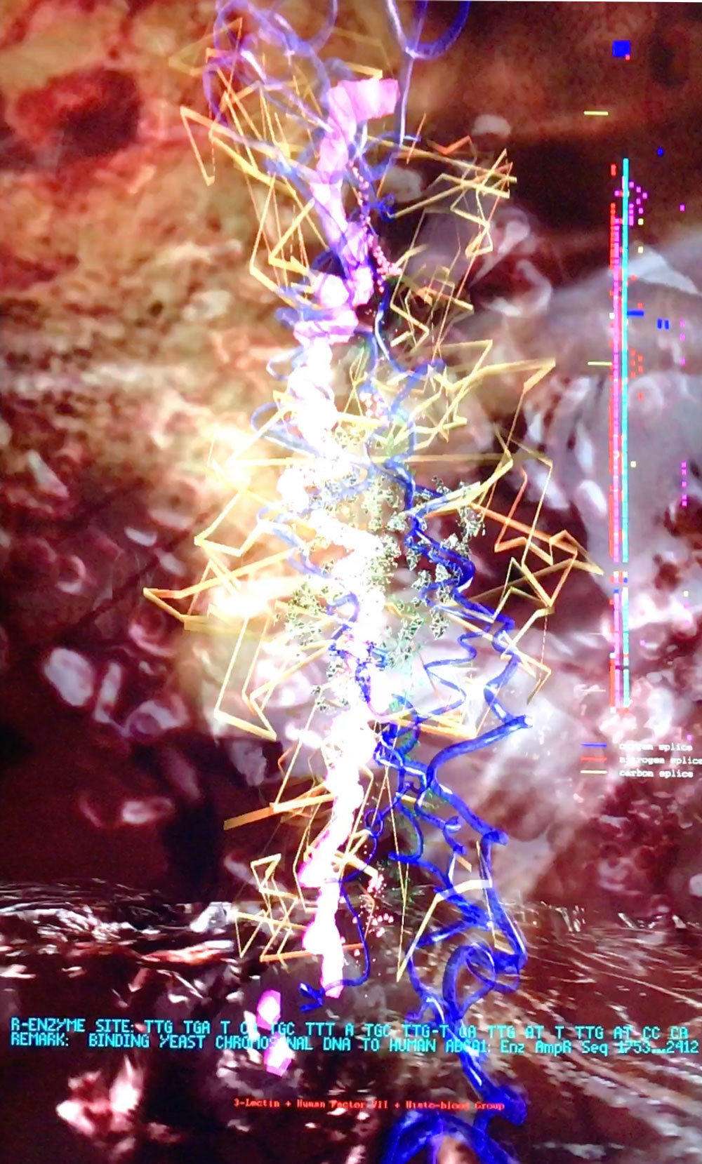 "Body & Blood" code-based 3d animation of DNA protein sequences, 2008, 2019