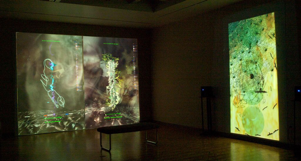 "Body and Blood", installation, Stocker Gallery, Lorain County Community College, OH-2016