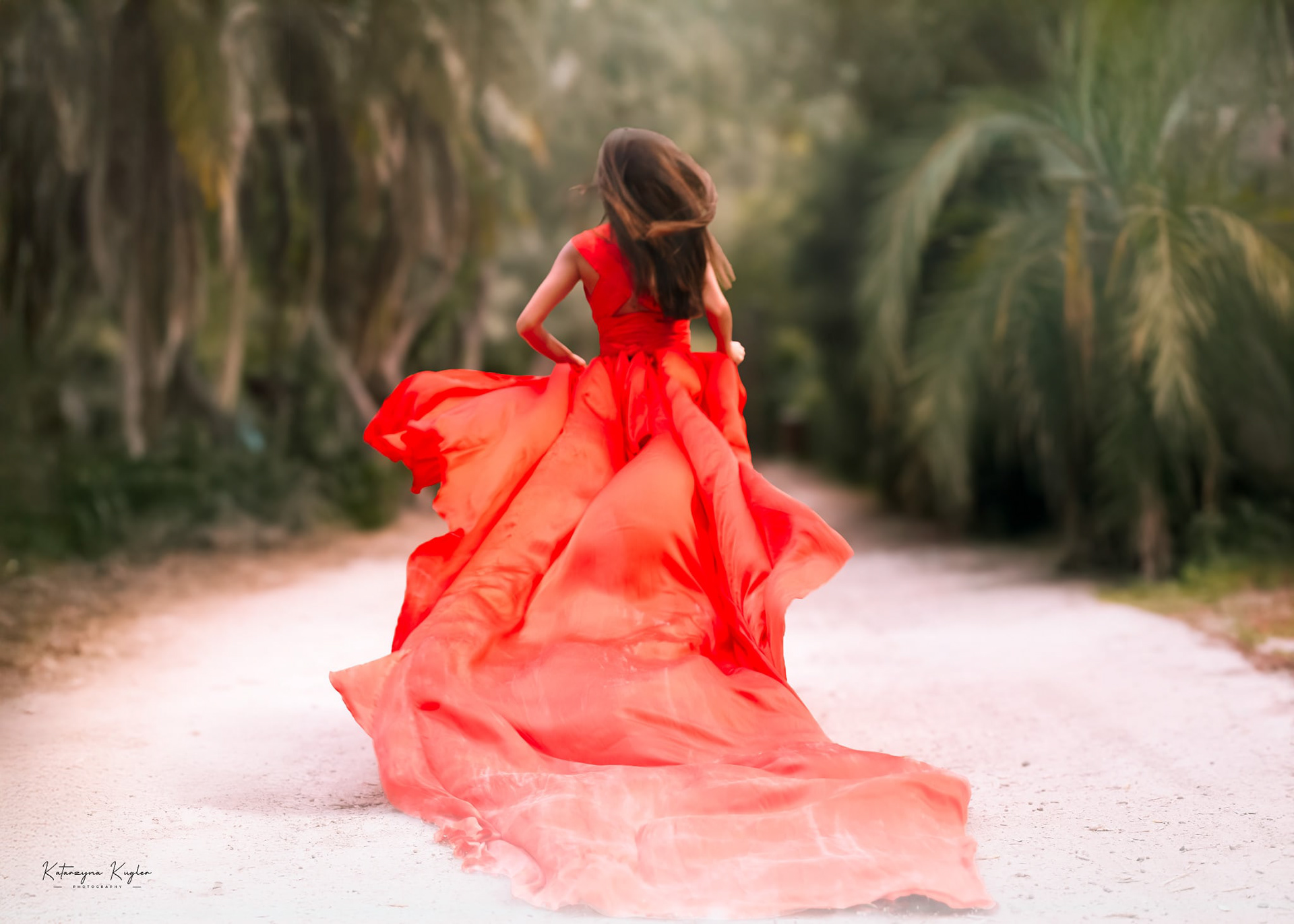 🇲🇹Maltese model